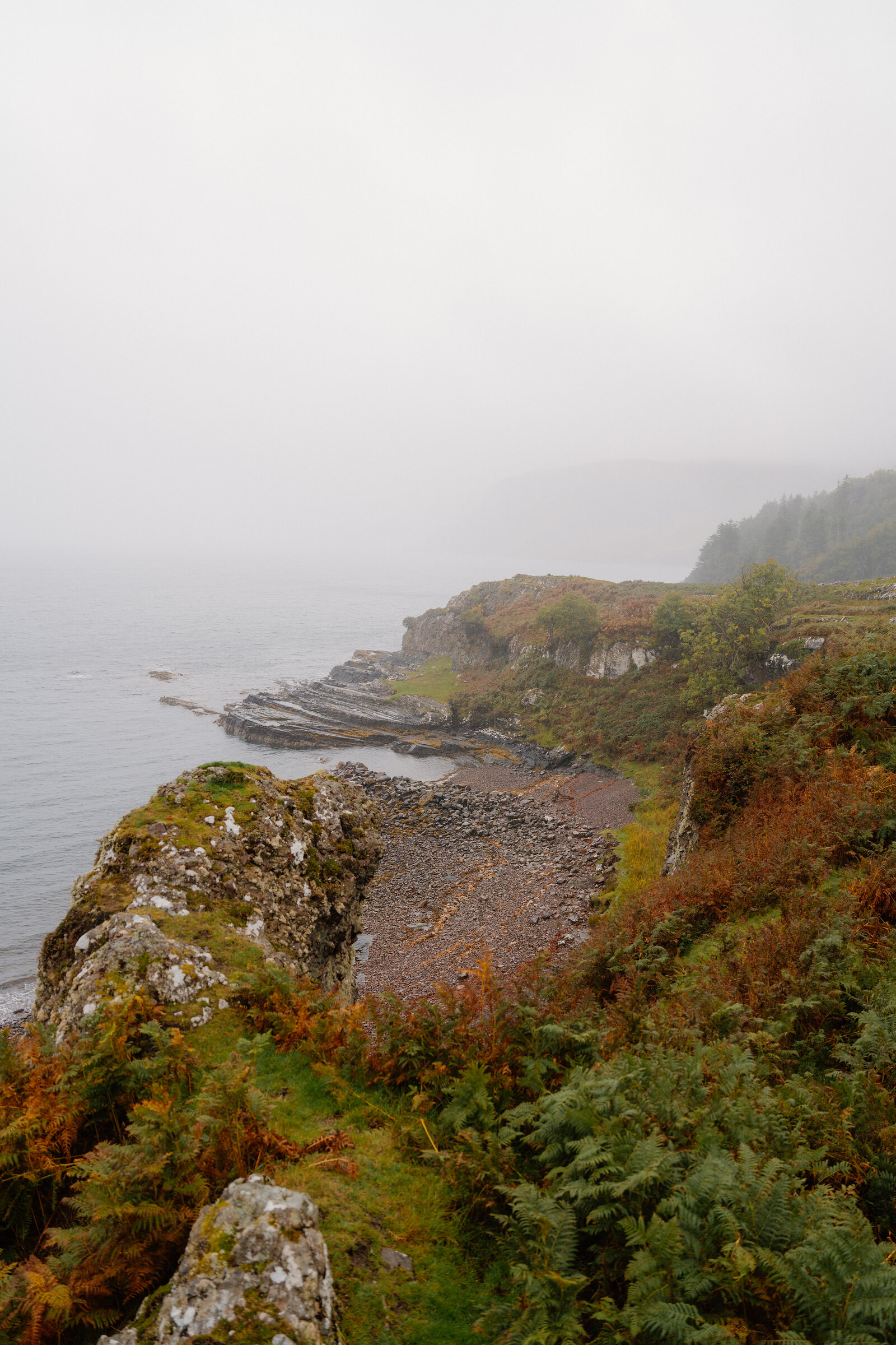 A misty rocky cove with a pebble beach sits below a fern-covered cliff.
