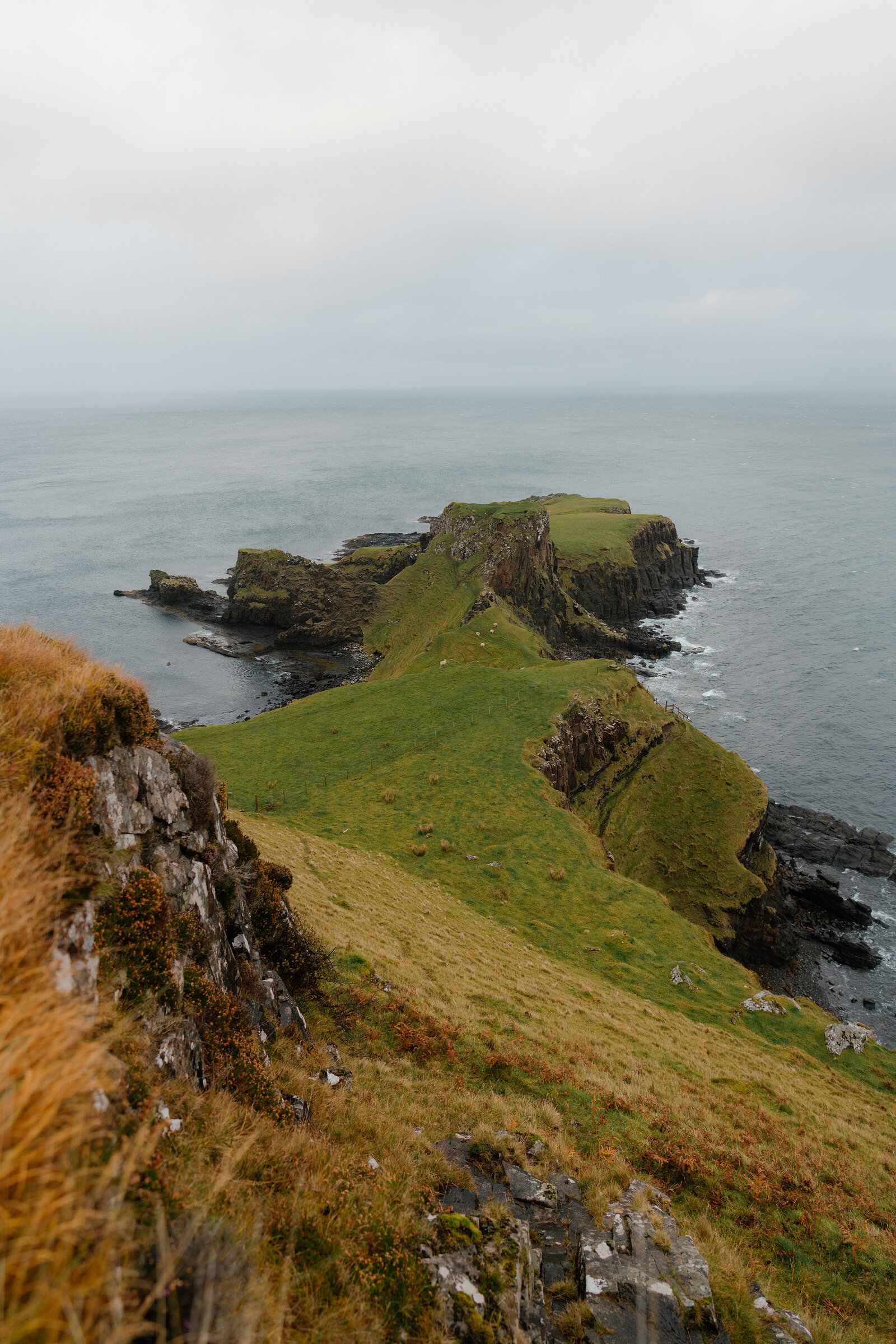 A grassy headland with a saddle-shaped ridge extends into calm sea beneath a grey sky.