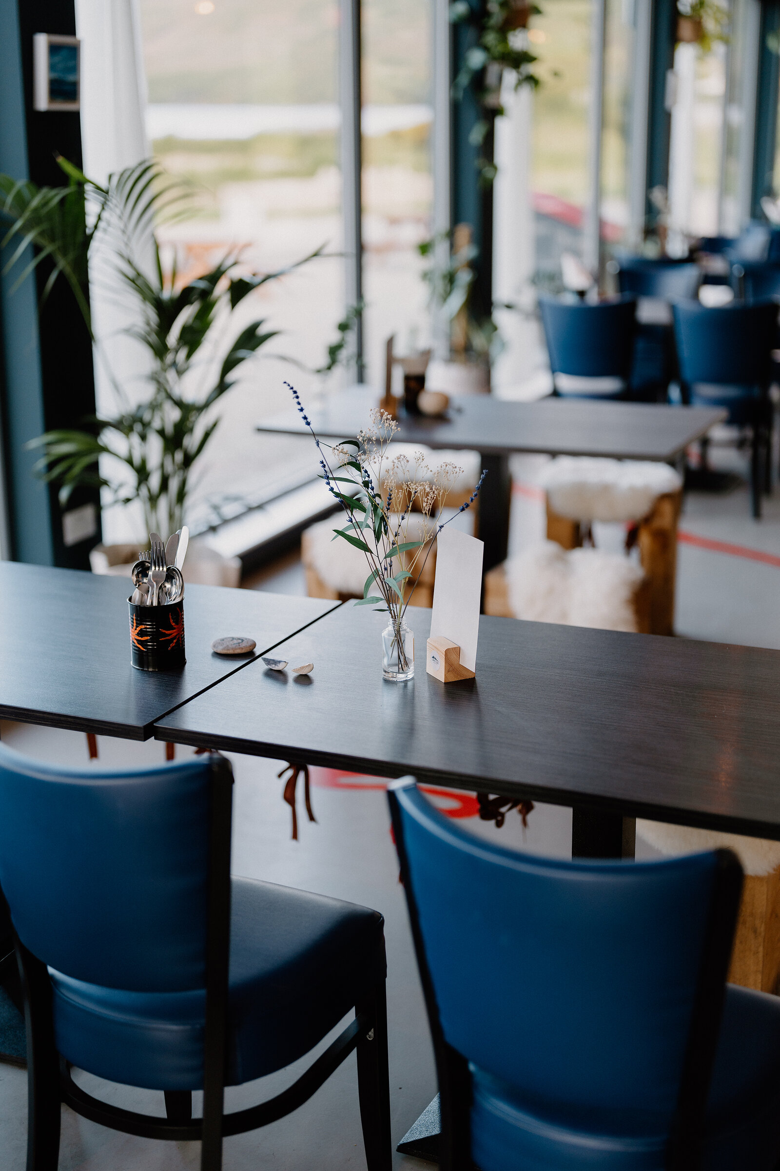 A small vase of dried flowers sits on a dark table between blue chairs in a bright cafe.