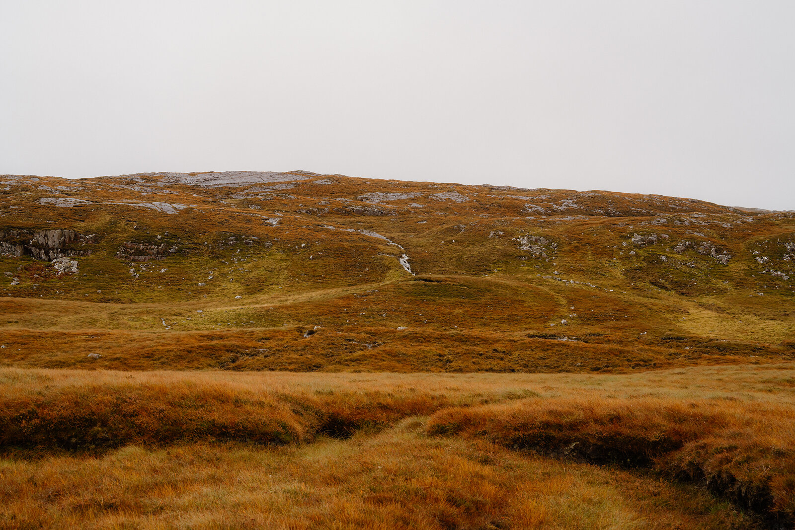 A misty moorland hillside rises above rough grazing land criss-crossed by faint paths.
