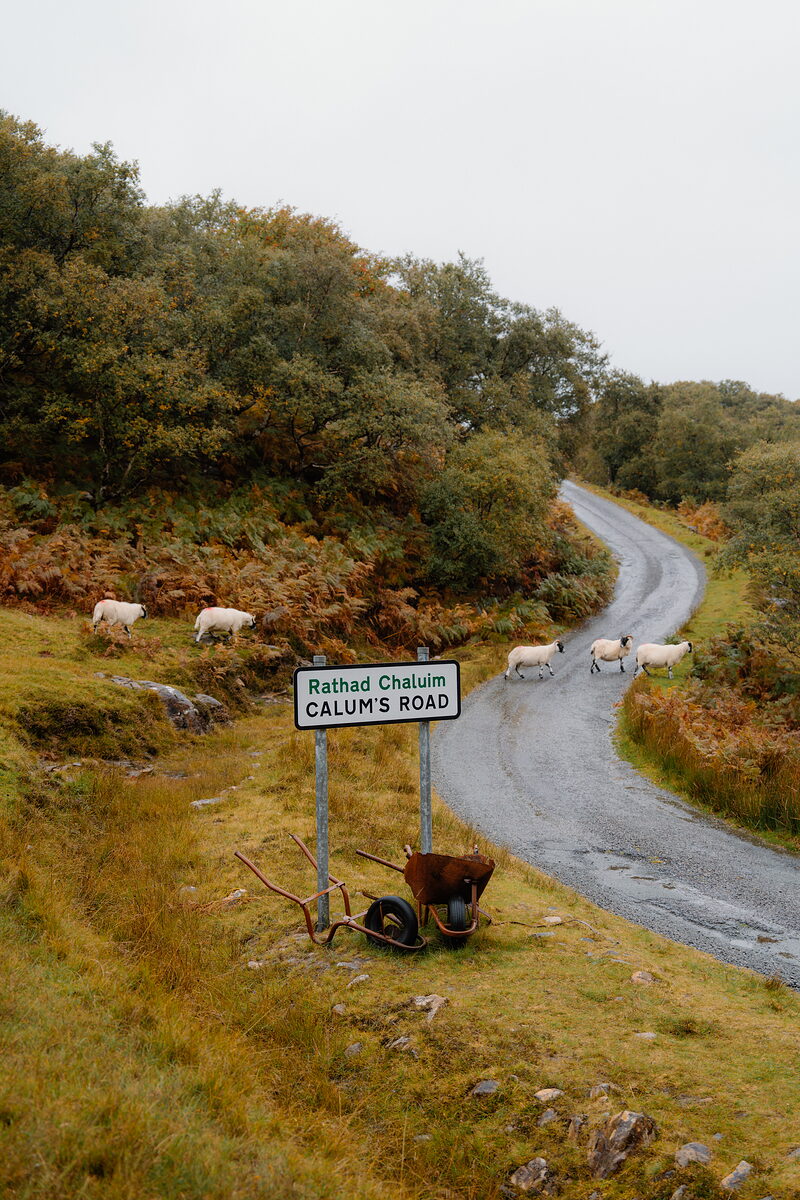 Calum's Road