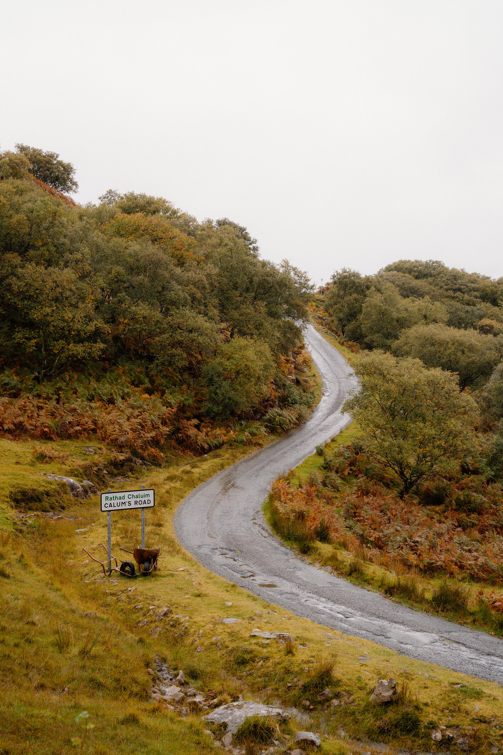 A winding road curves through autumn woodland beside the 'Calum's Road' sign.