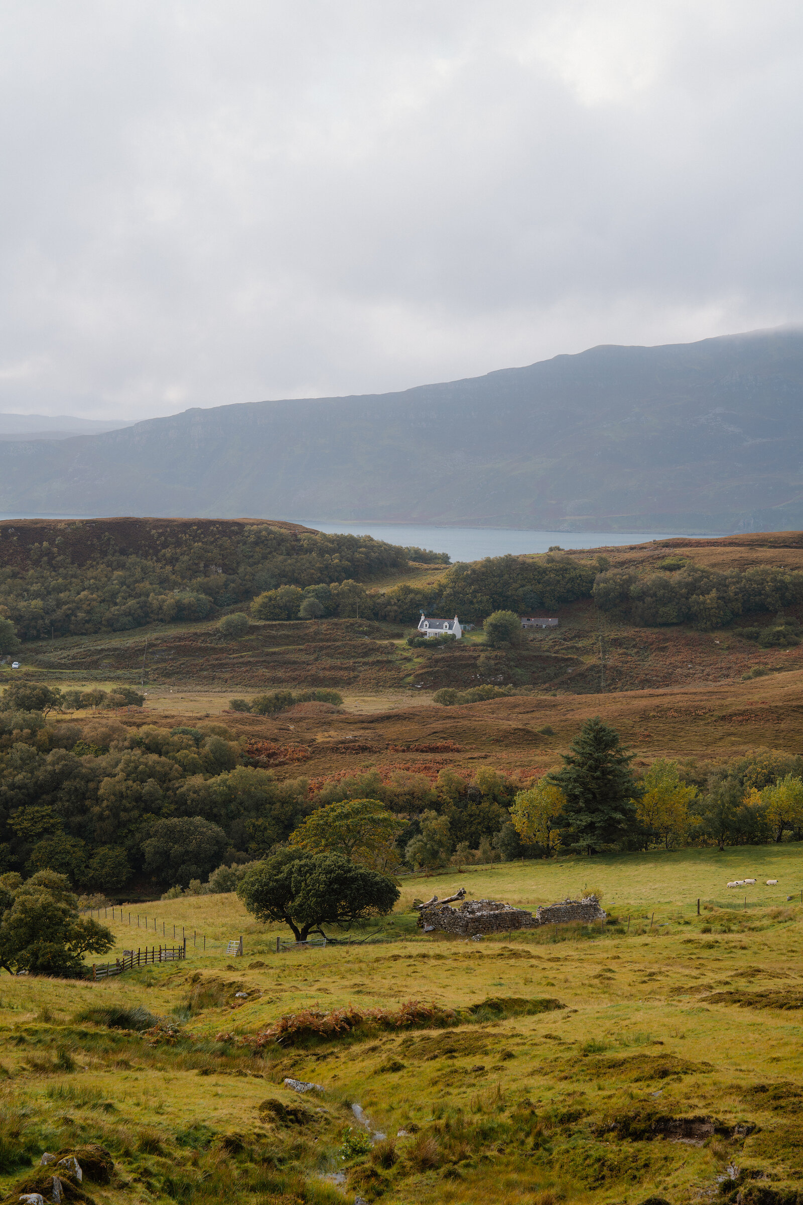A small white house sits among fields and moorland beside a loch, hills rising beyond.