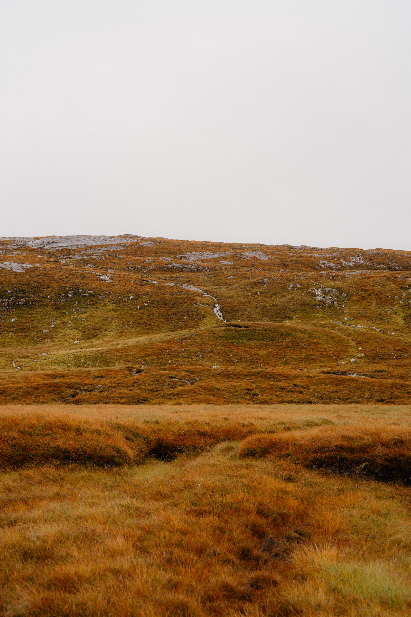 A misty moorland hillside rises above rough grazing land marked with faint paths.