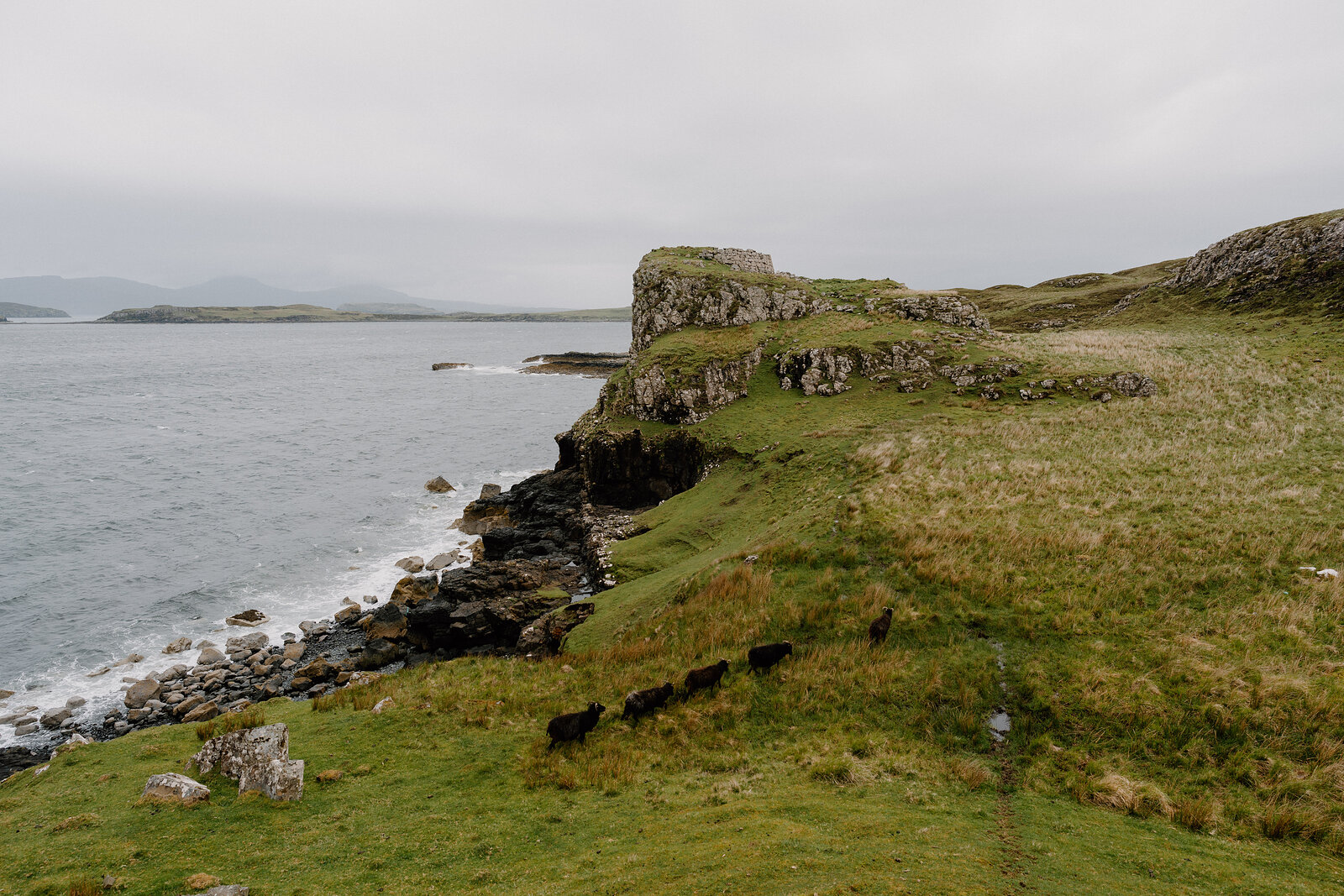 Ruined stone walls crown a grassy headland above the sea on the Isle of Skye, sheep grazing on the slope below.