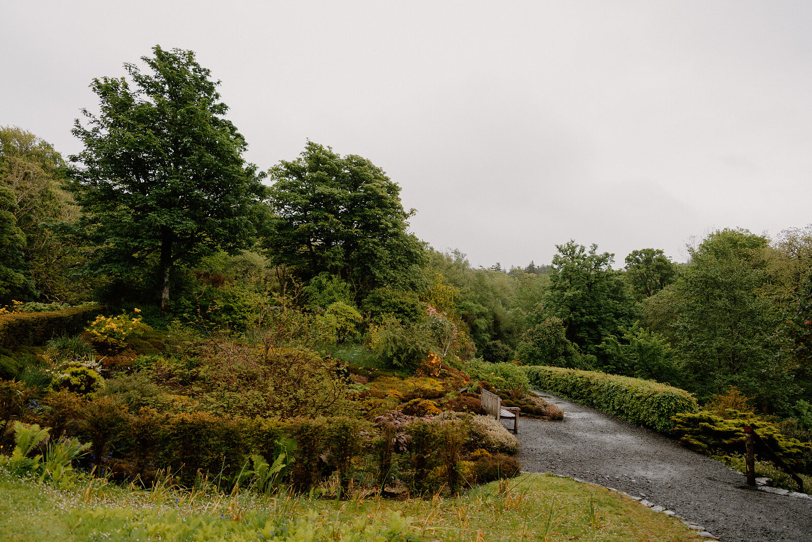 A gravel path curves past clipped shrubs and mature trees in Dunvegan Castle's garden.