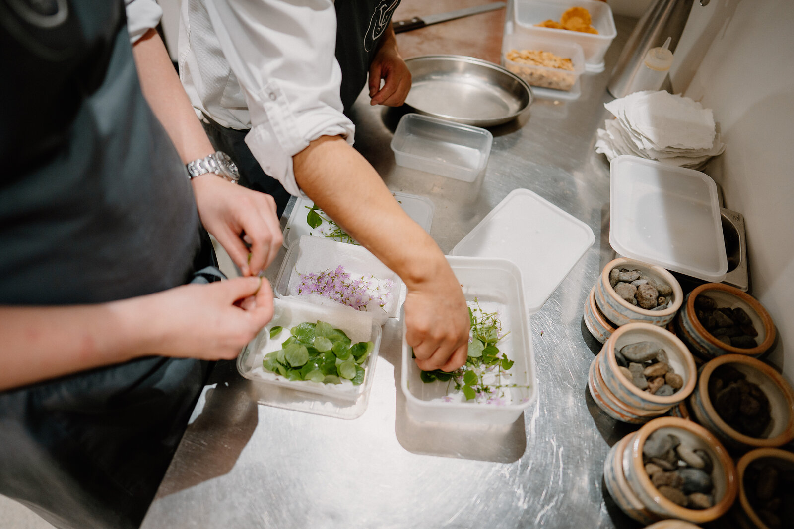 Two chefs arrange herbs and edible flowers into containers on a stainless steel counter at Edinbane Lodge.