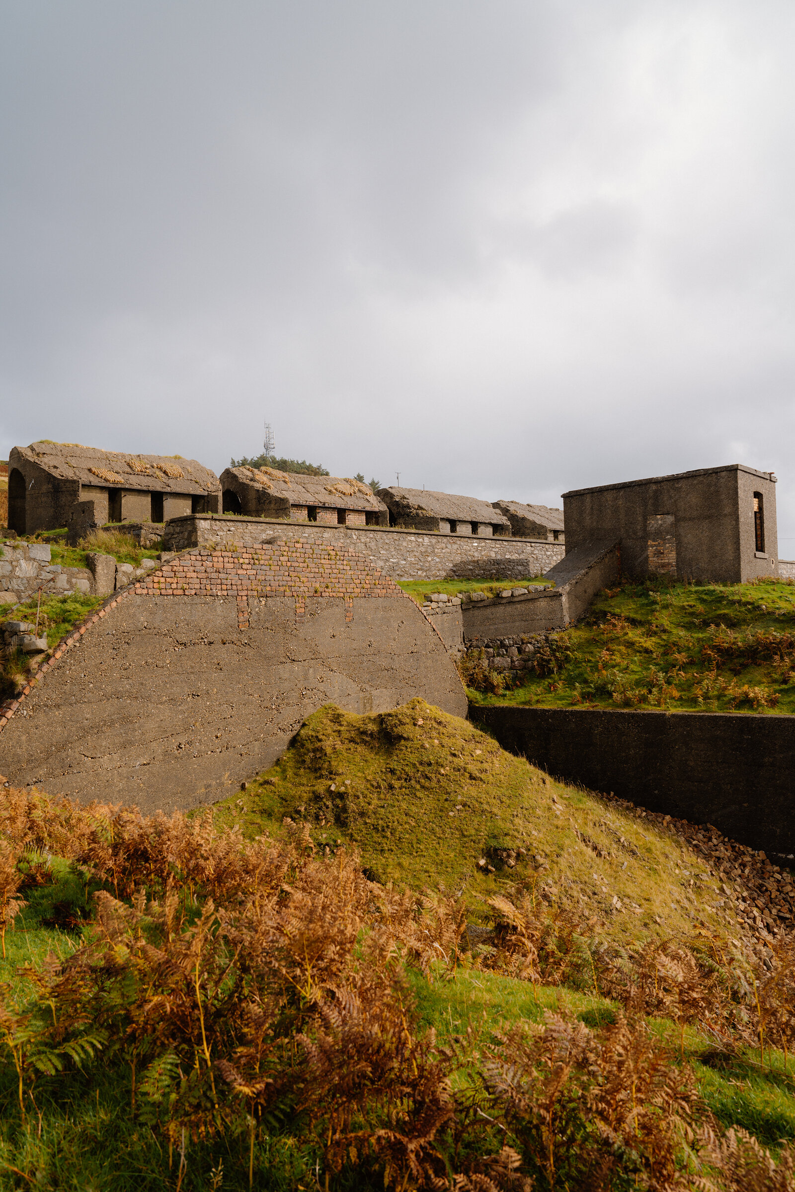 Ferns grow before a row of concrete kiln ruins on a Skye hillside.