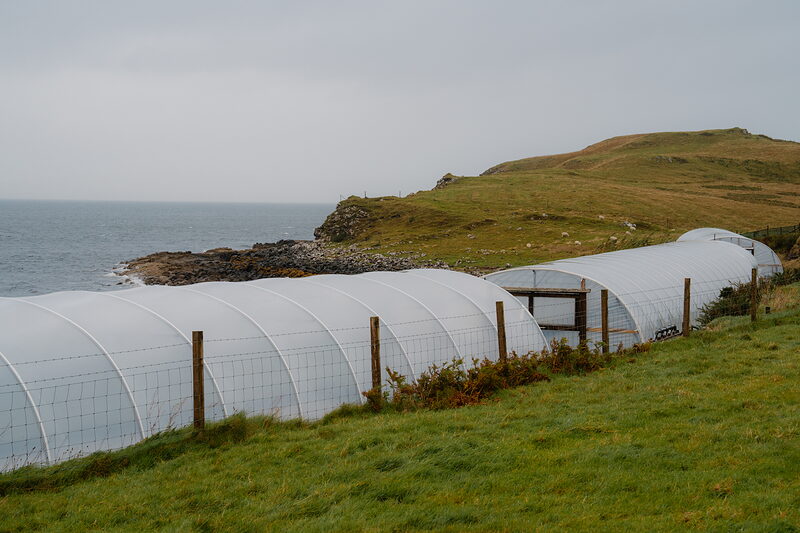 Isle of Skye Sea Salt Company