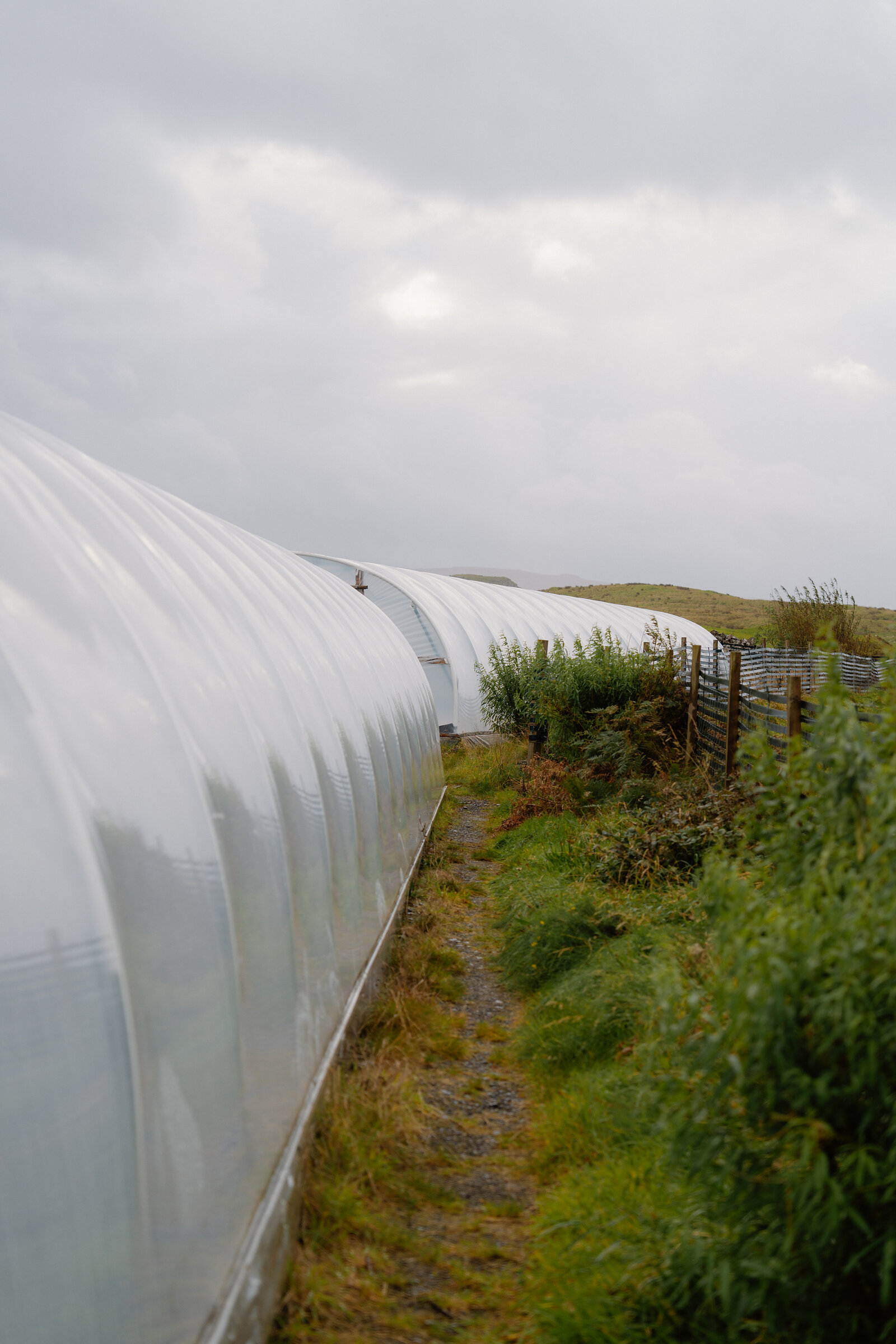 A path runs alongside a long white polytunnel toward open hillside at the Isle of Skye Sea Salt Company.