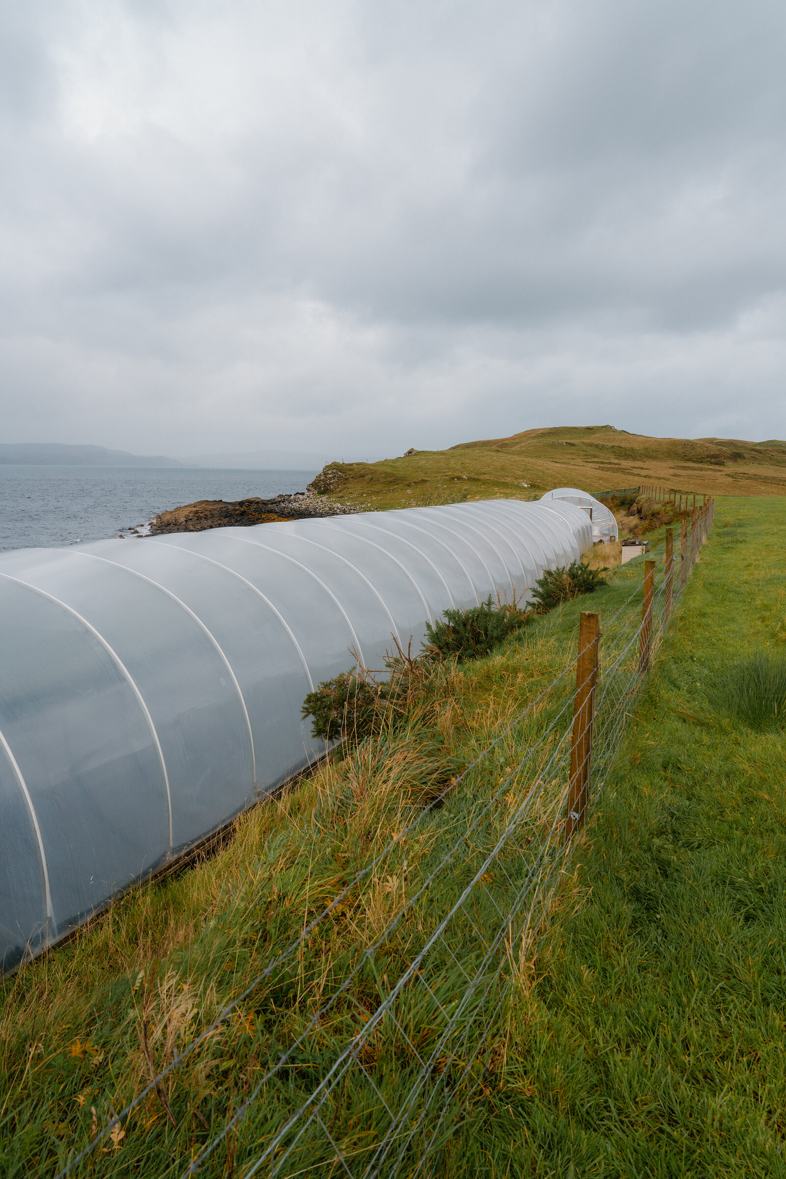 A polytunnel runs along the coastline behind a wire fence at the Isle of Skye Sea Salt Company.