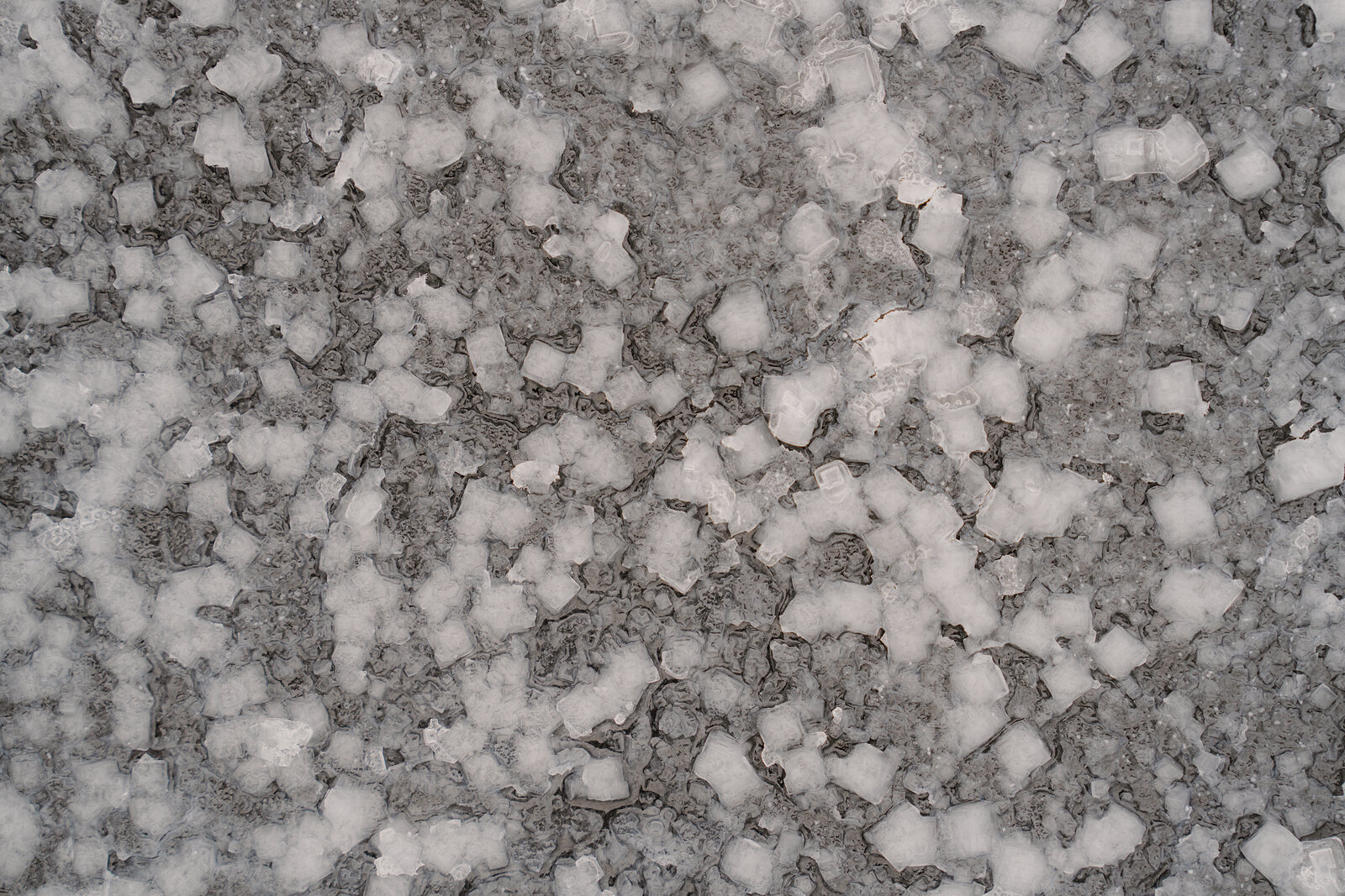 Salt crystals cluster thickly across a dark polytunnel liner at the Isle of Skye Sea Salt Company.