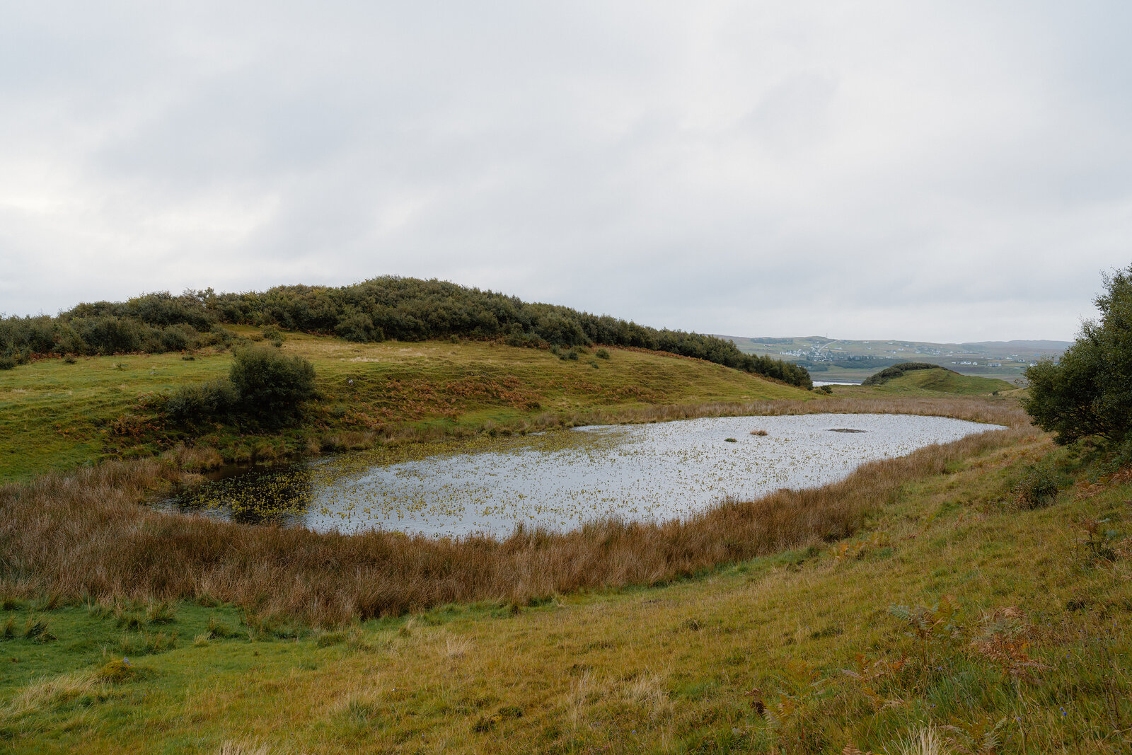 A reed-fringed pond sits in a grassy hollow on the Isle of Skye, hills rising beyond.