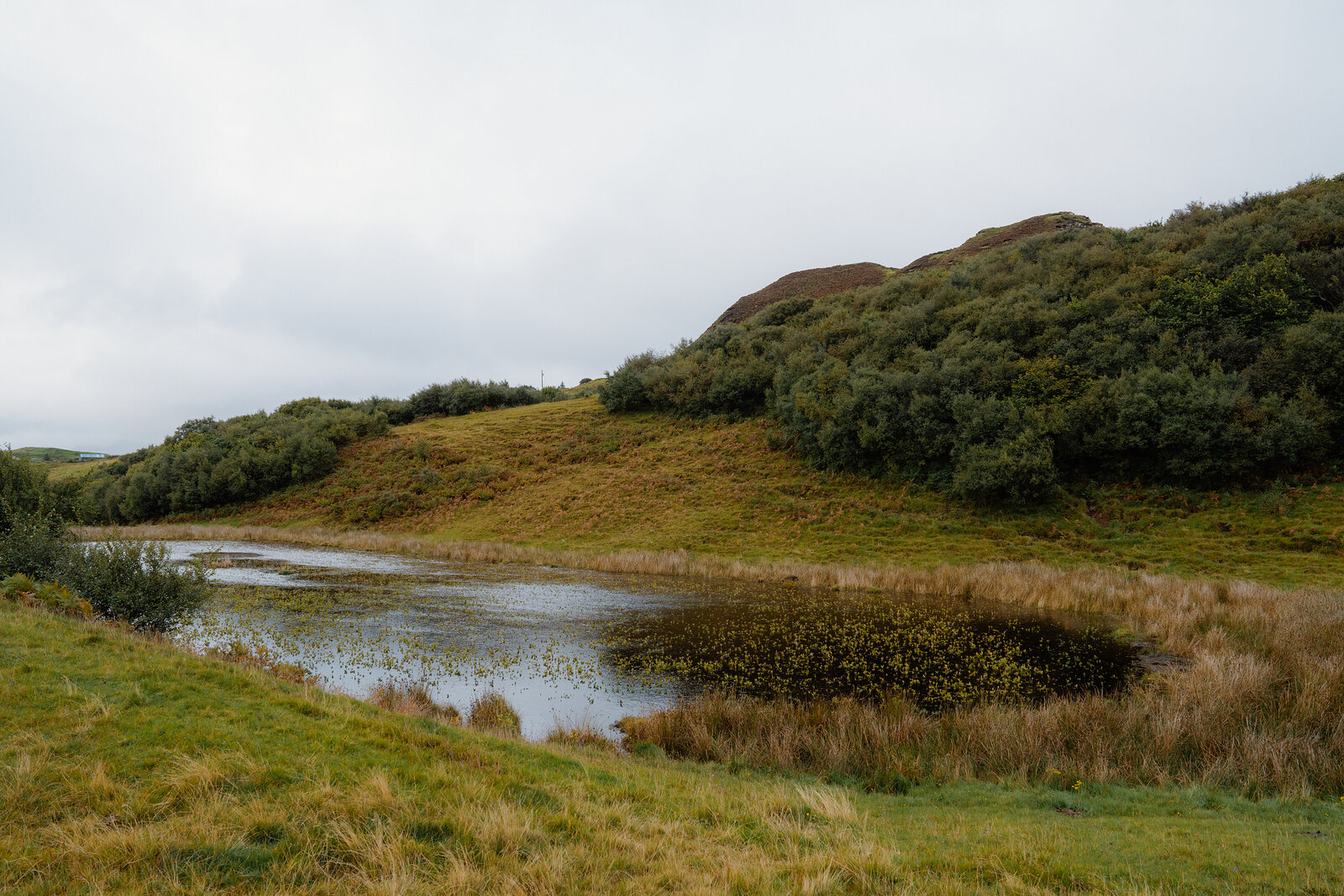 A still pond reflects grey sky in a grassy hollow on the Isle of Skye, a house visible on the hillside beyond.
