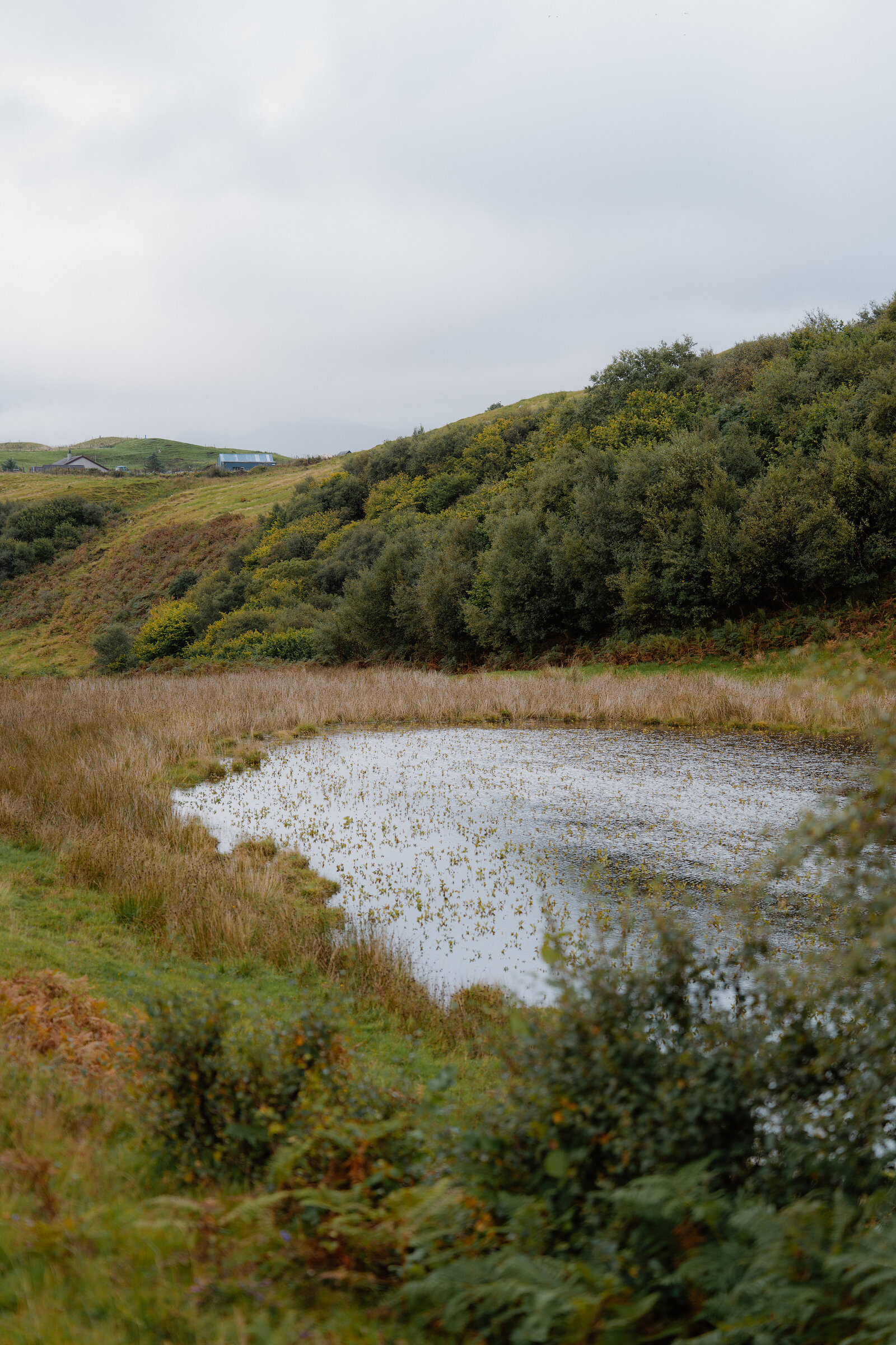 A white house stands on a hillside above a reed-fringed pond on the Isle of Skye.