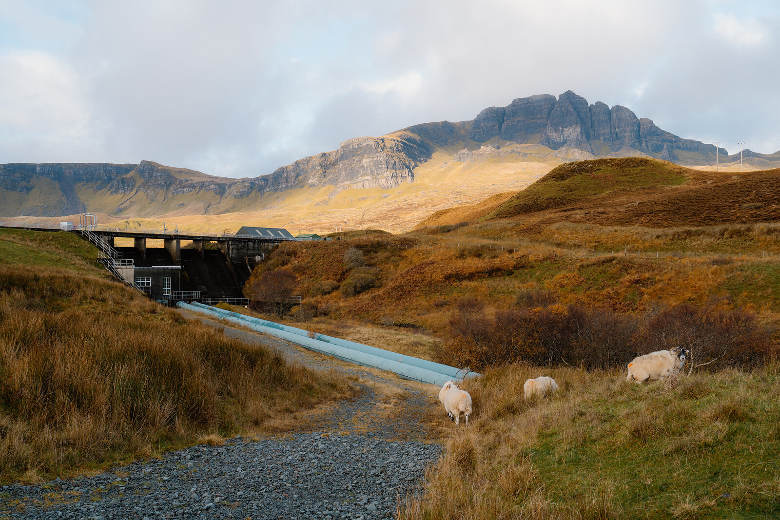 Sheep grazing beside a covered walkway, jagged mountains rising behind under autumn light