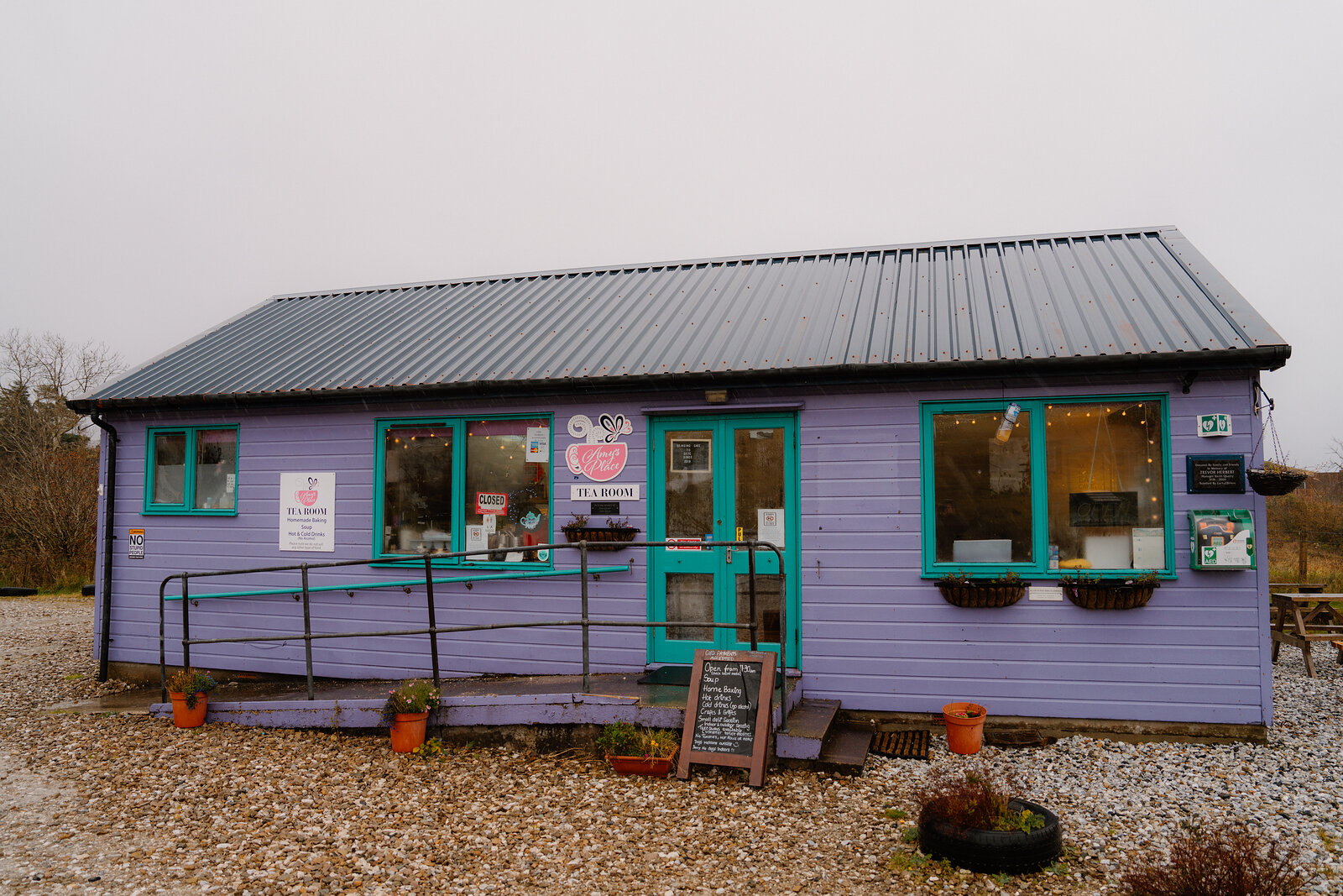 A purple timber tea room building with teal-framed windows and a ramp sits beside potted plants and a gravel yard.