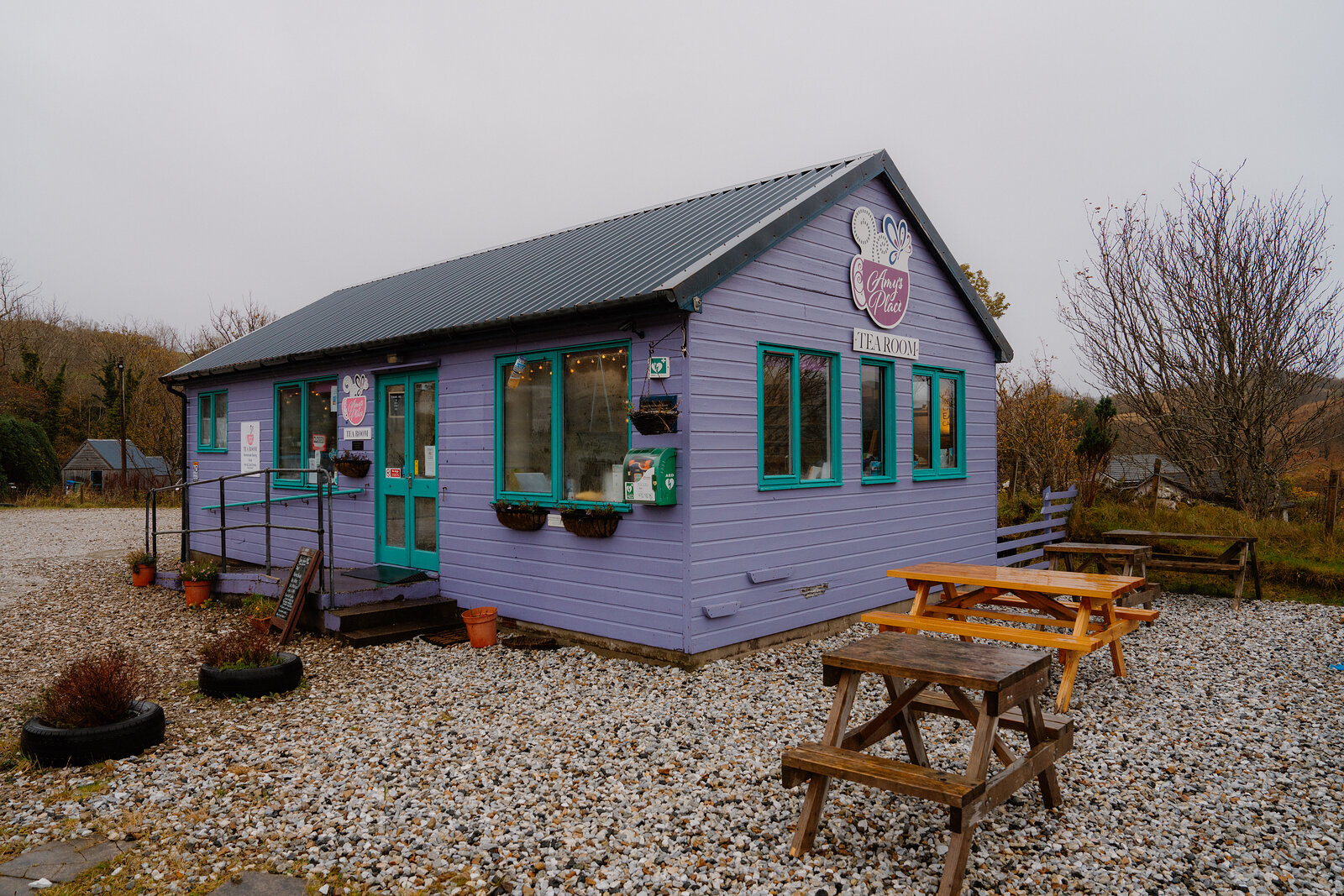 Amy's Place Tea Room's purple timber building stands beside gravel and a wooden picnic table.