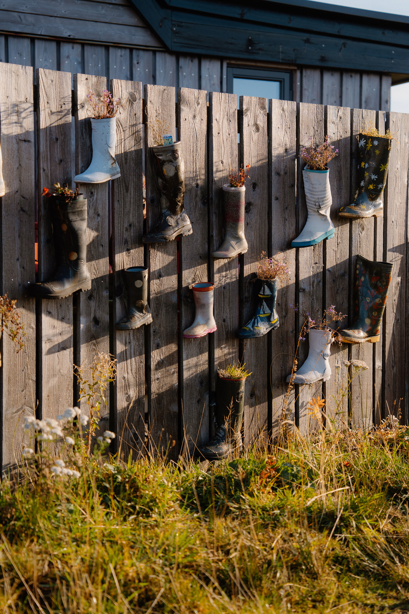 Wellington boots planted with flowers hanging along a timber fence