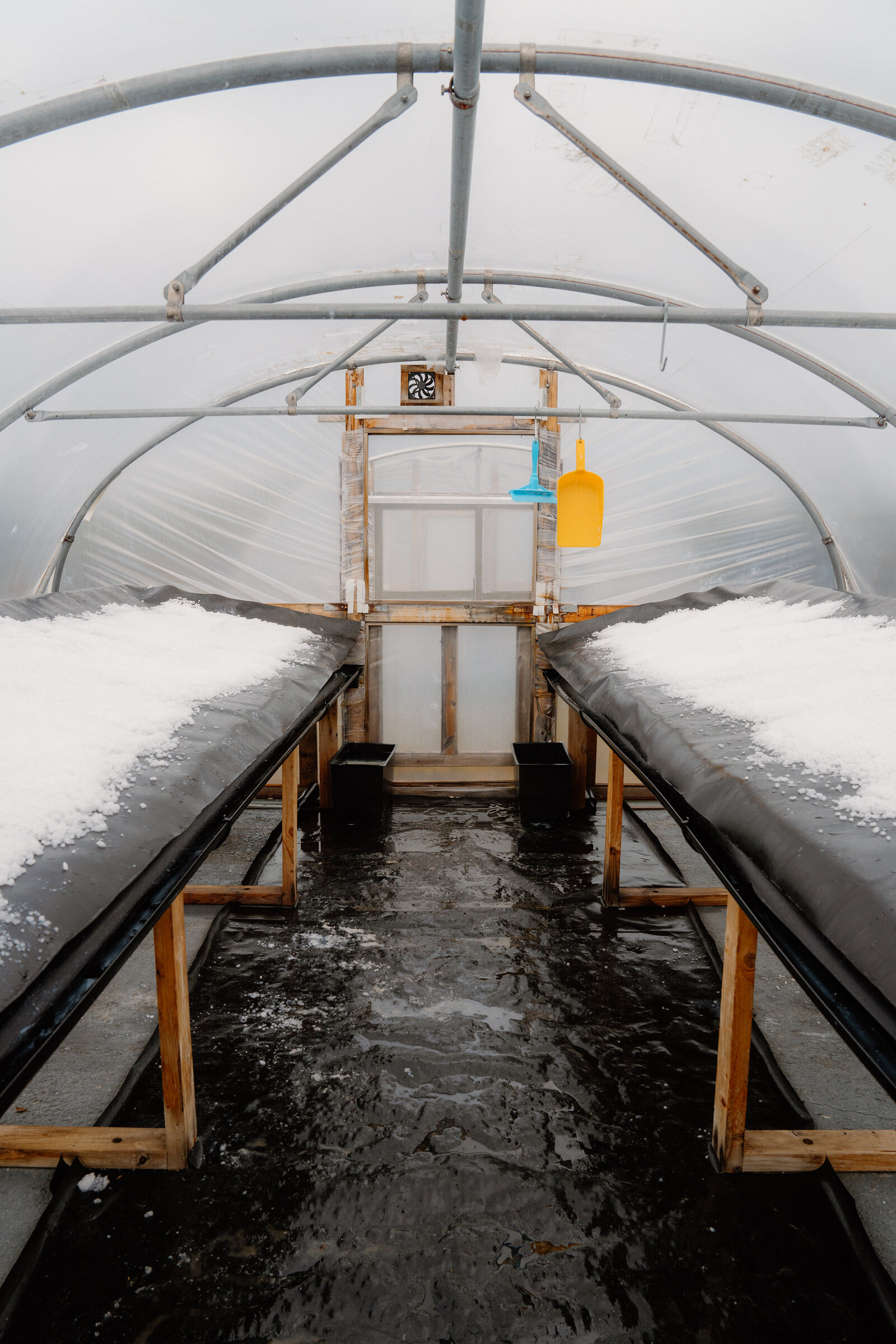 A fan and hanging scoop hang above shallow seawater channels inside a polytunnel at Isle of Skye Sea Salt Company.