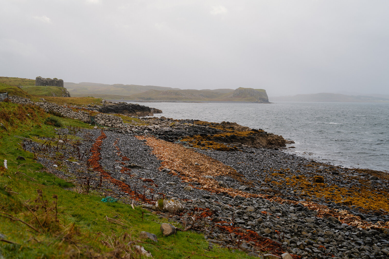 A polytunnel runs along a grassy clifftop path beside a wire fence at Isle of Skye Sea Salt Company.