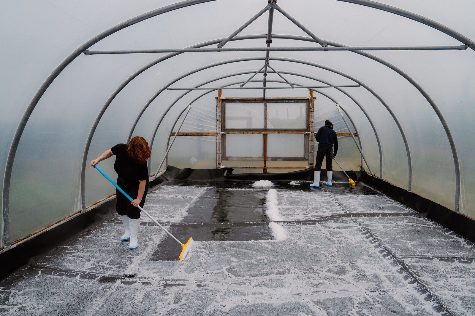 Two people scrape salt crystals with squeegees at opposite ends of a polytunnel at Isle of Skye Sea Salt Company.