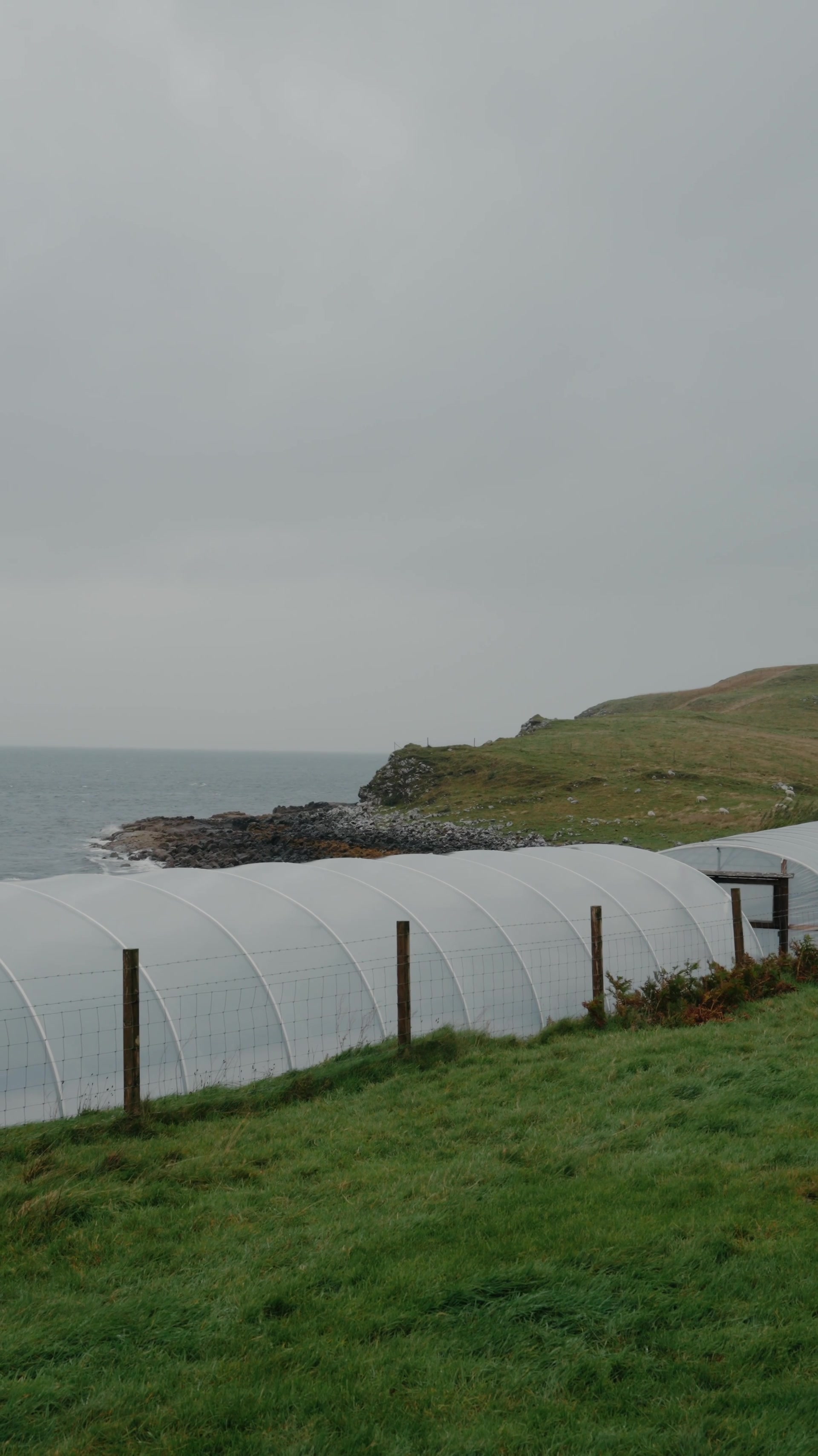 Polytunnels run along a fenced clifftop above a rocky shore, a headland and calm sea stretching beyond.