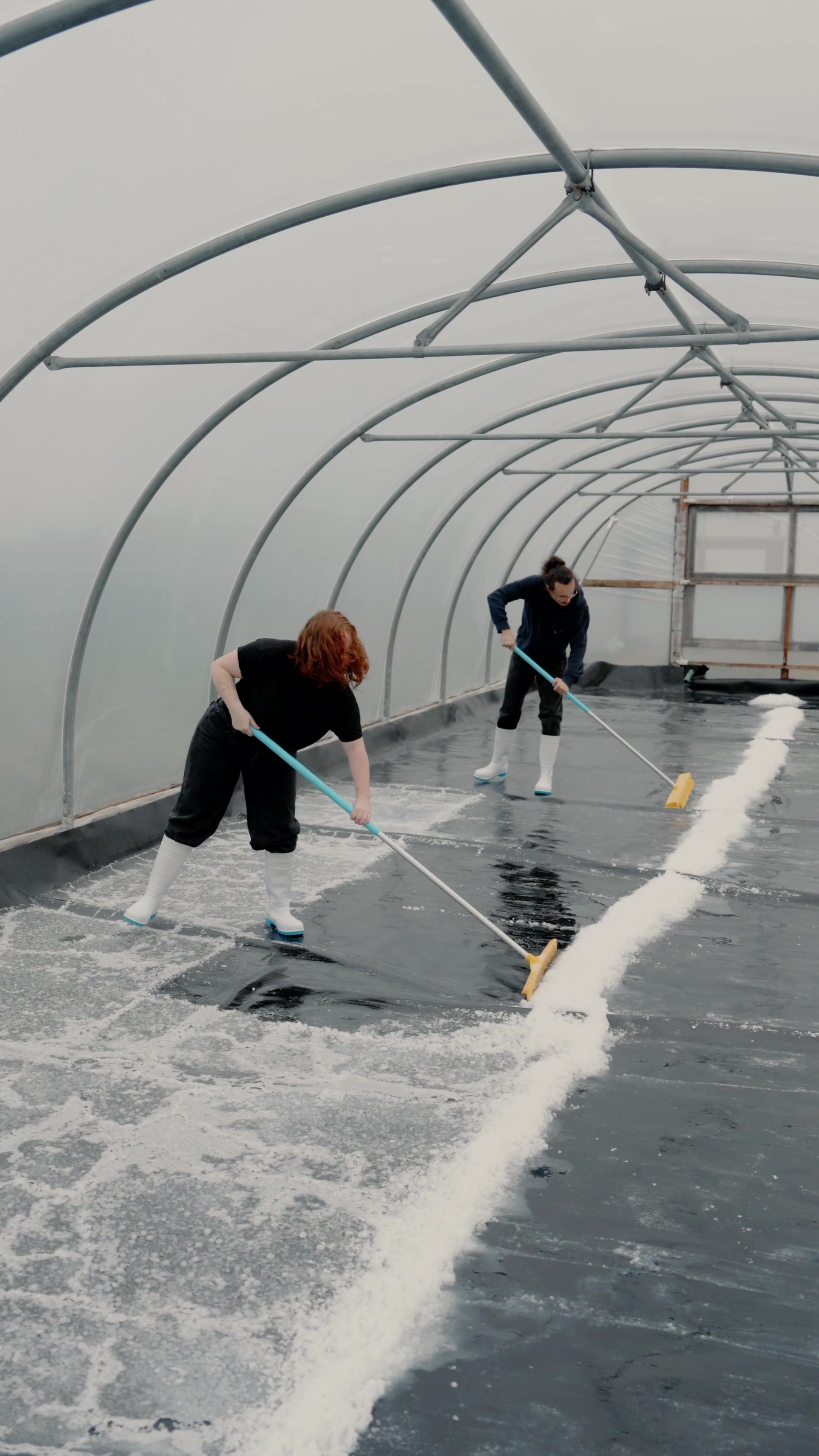 Two people scrub salt crystals from a black-lined polytunnel floor with long-handled squeegees, white residue streaking the ground.