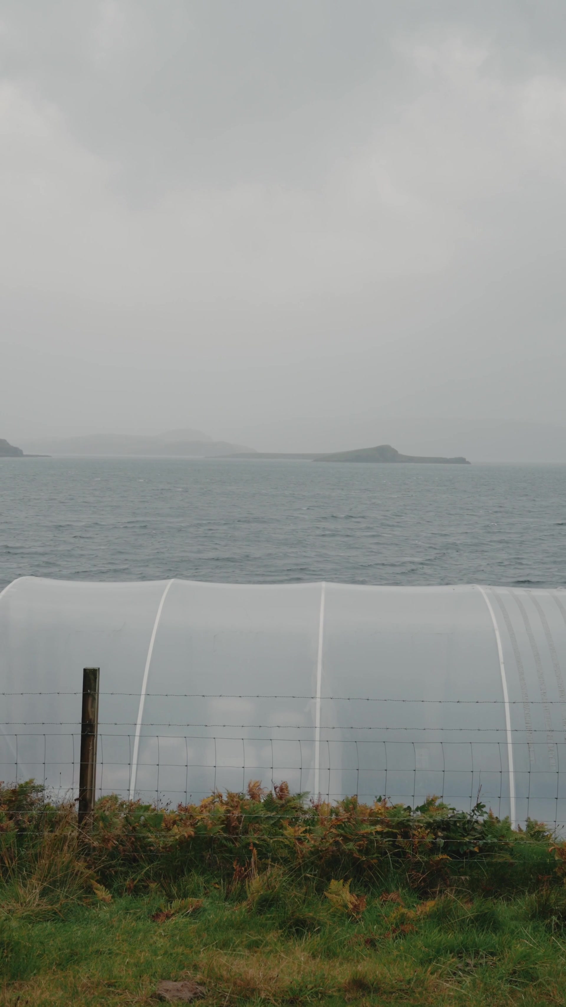 A polytunnel stretches along the shore behind a wire fence, hills fading into mist across the sea beyond.