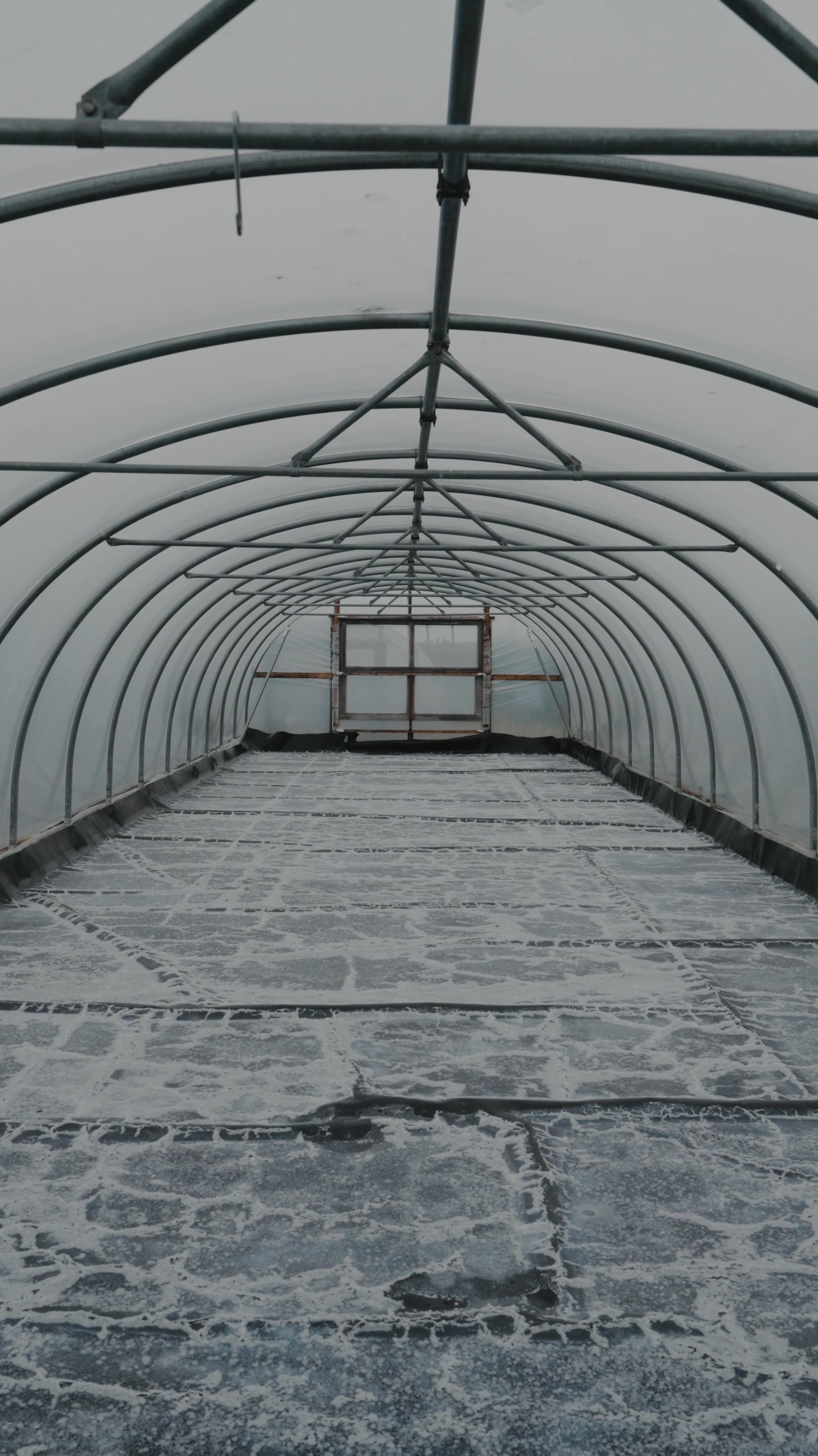 Frost coats the tiled floor of an empty polytunnel, its arched frame leading to a glazed door at the far end.
