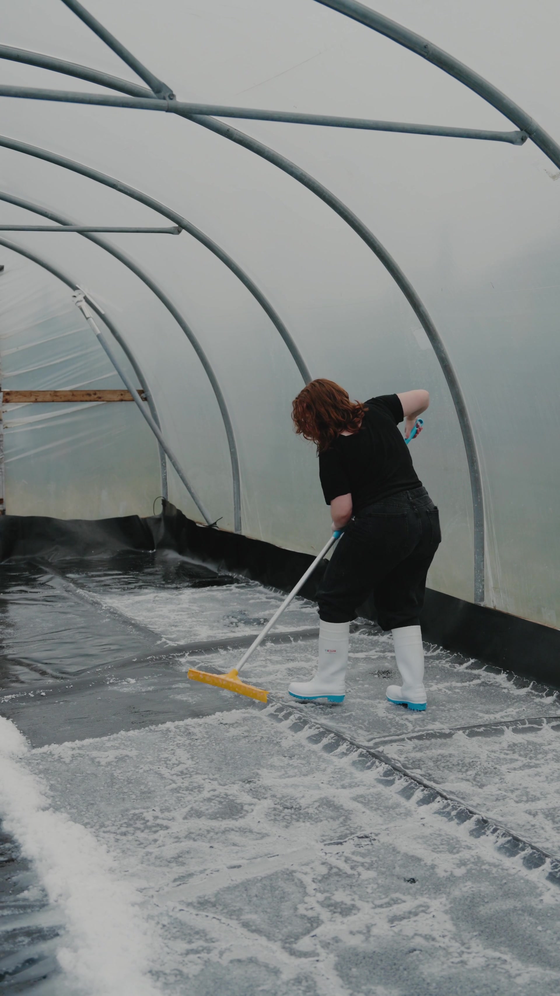 A woman in black scrubs a frosted polytunnel floor with a yellow squeegee broom, white wellies splashing through the melting ice.