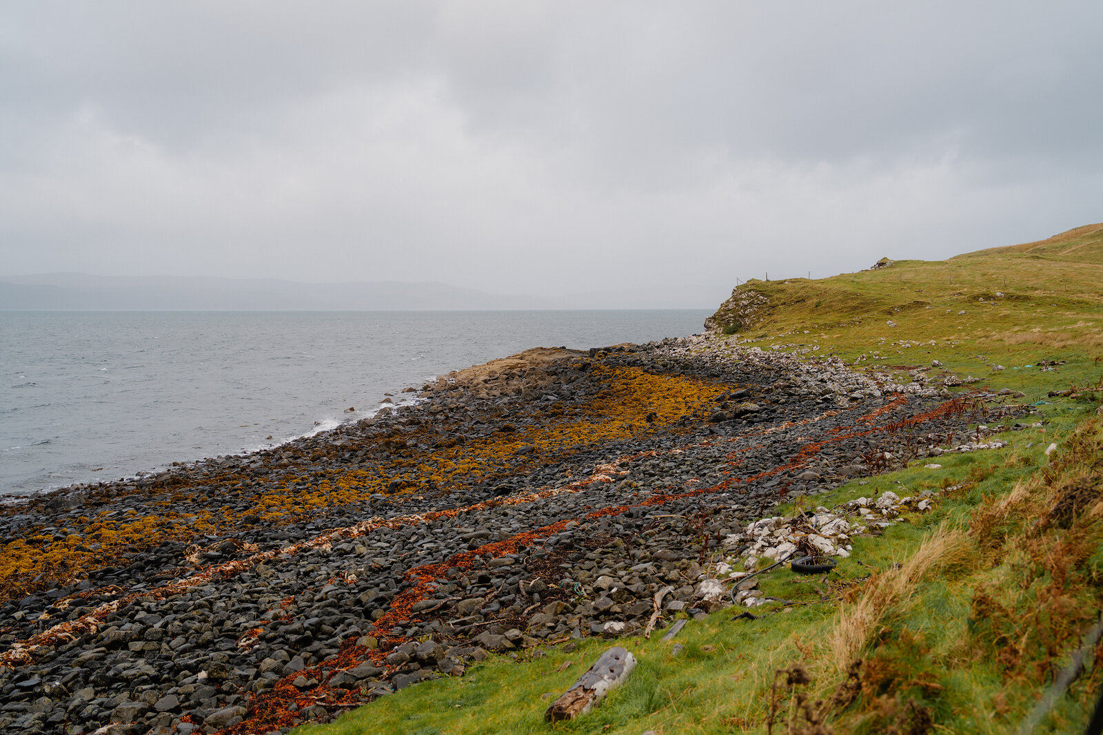 Orange and green lichen colour a rocky shoreline beneath a grassy headland near Isle of Skye Sea Salt Company.