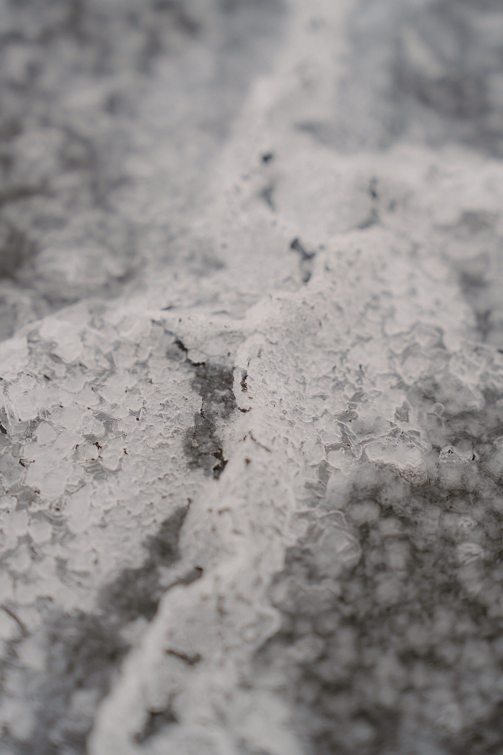 Coarse salt crystals form a textured pattern in close macro detail at Isle of Skye Sea Salt Company.