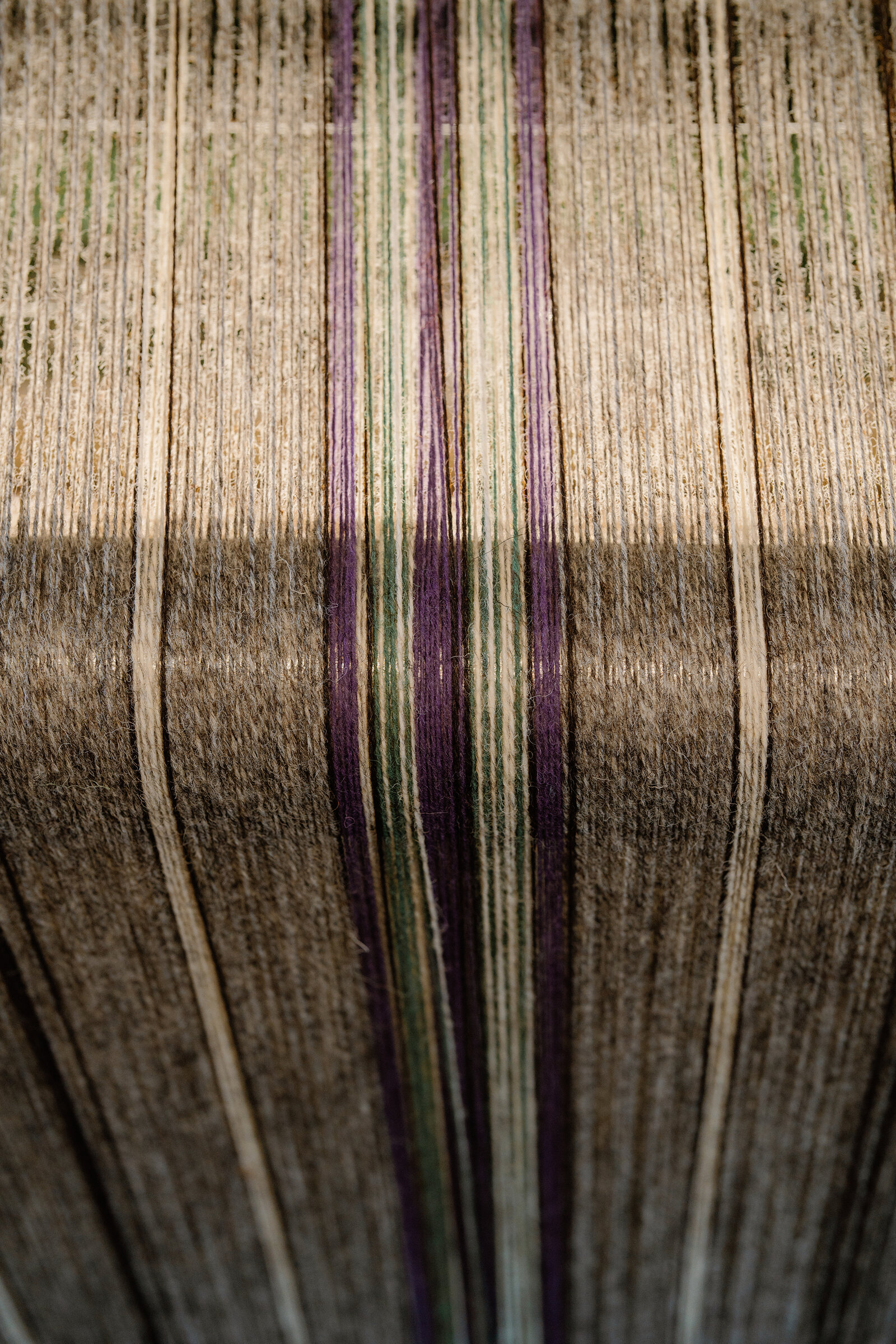 Purple, green and cream threads run taut across a loom at Skye Weavers.