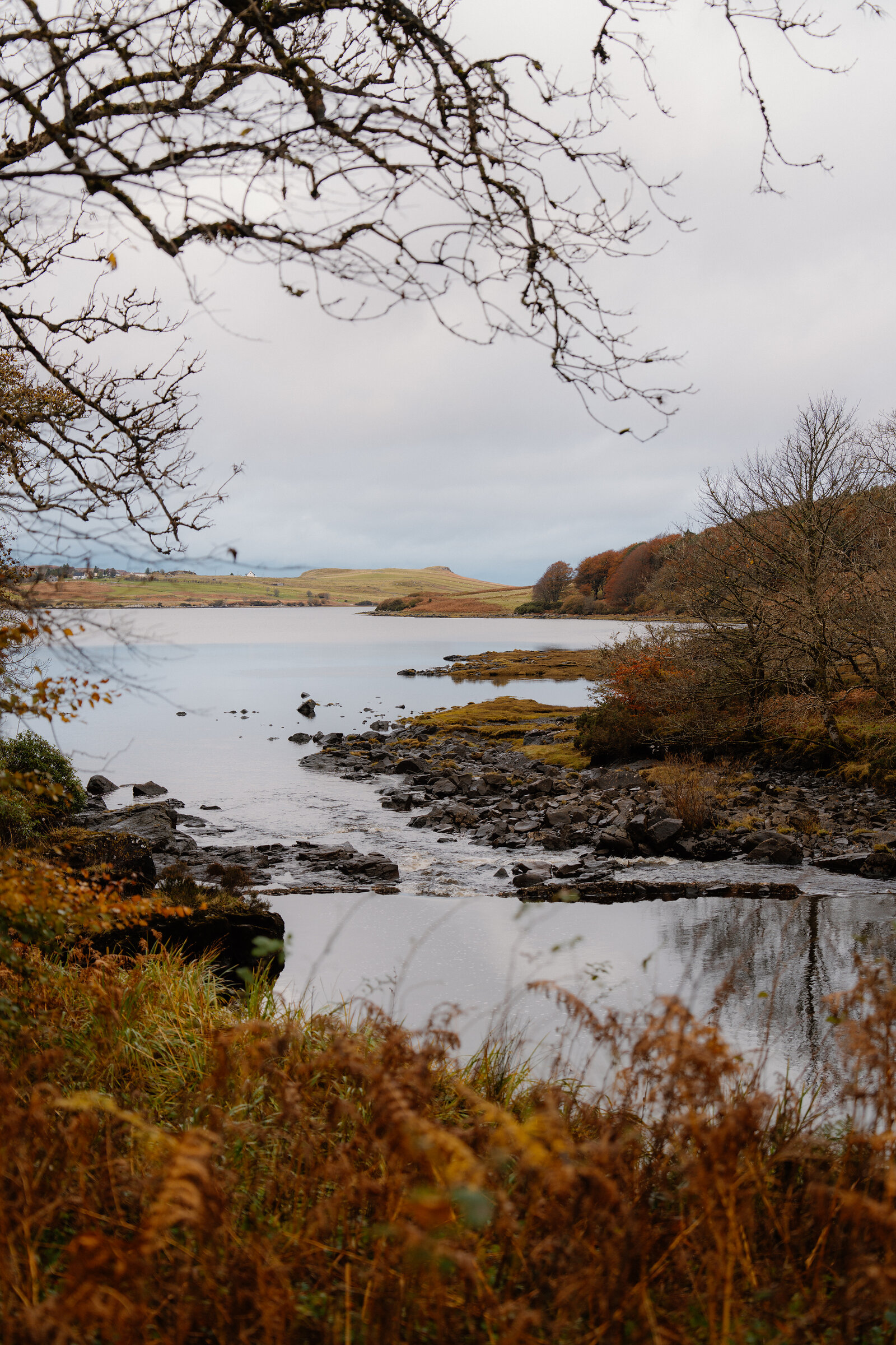 Autumn reeds and bracken border a tidal loch bounded by fields and hills near Skeabost.