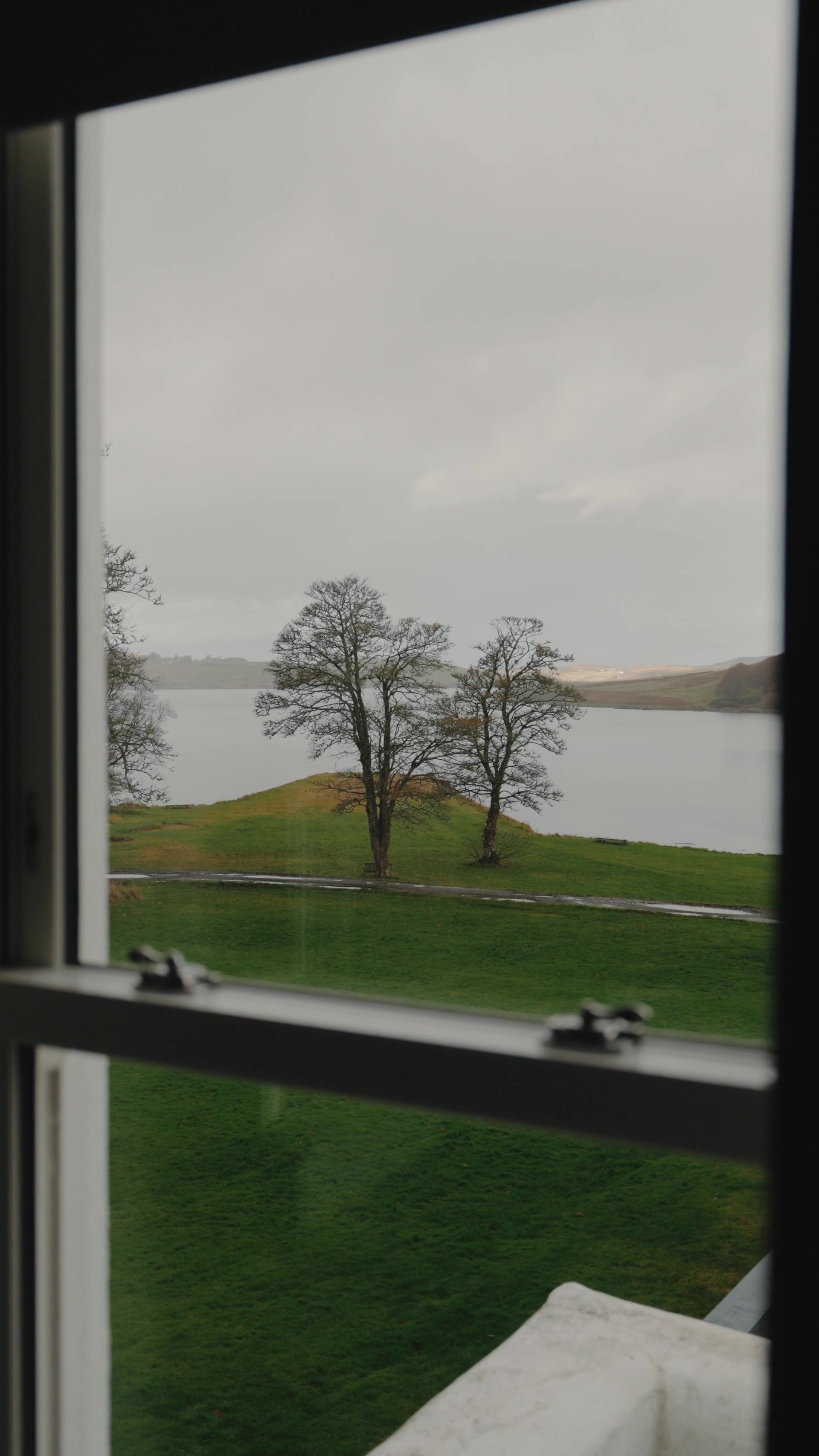 Two bare trees stand on a small grassy mound in a loch, seen through an open window with hills fading into the distance.