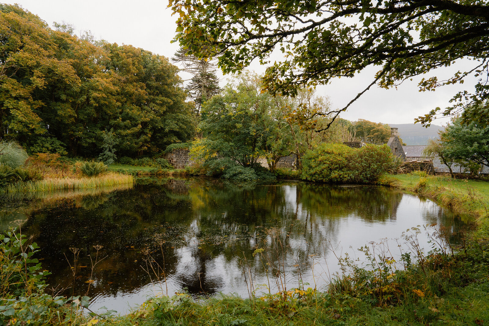 A still pond reflecting autumn trees, farm buildings visible through the branches beyond