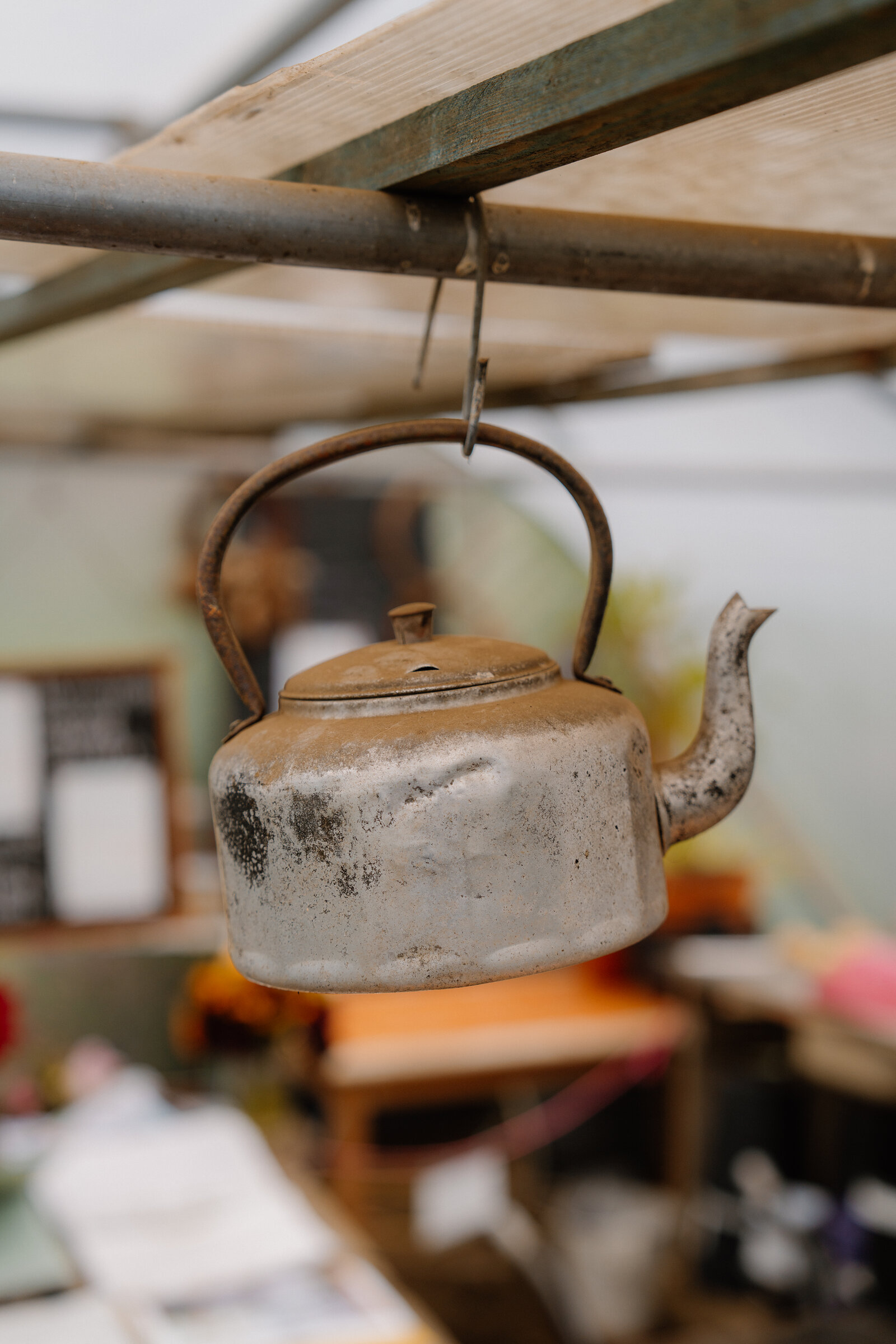 A battered metal kettle hangs from a rafter in a greenhouse.