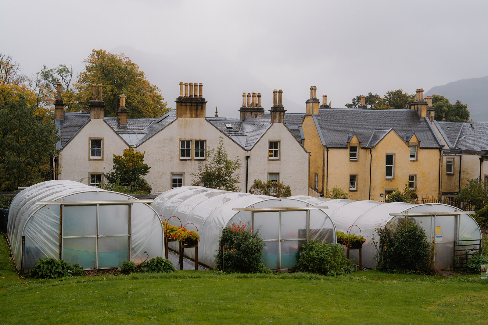 Polytunnels stand in a walled garden before a row of stone cottages with tall chimneys.