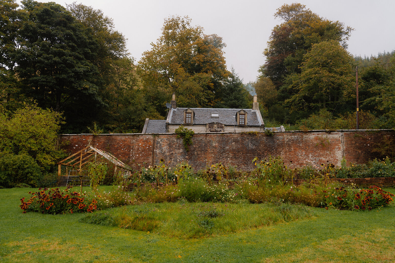 Rose beds fill a circular lawn before a brick wall and a slate-roofed cottage.