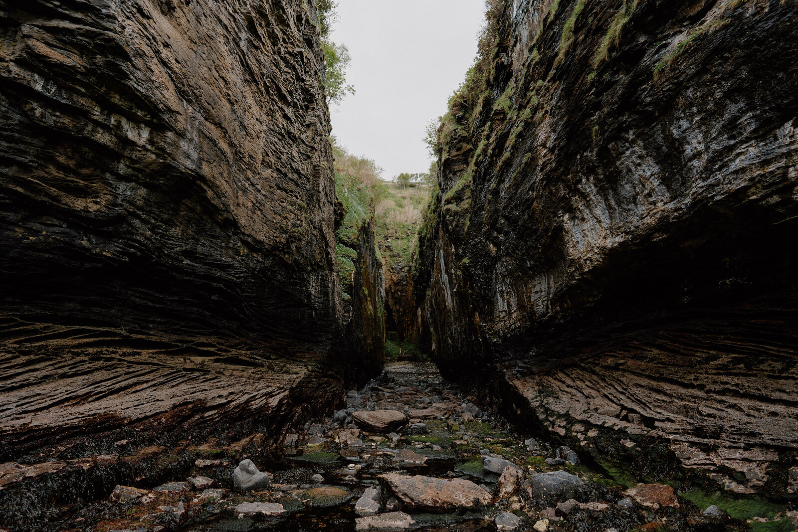 Ferns grow from cracks in the gorge's layered rock walls, which rise steeply toward an overcast sky above a stony streambed.
