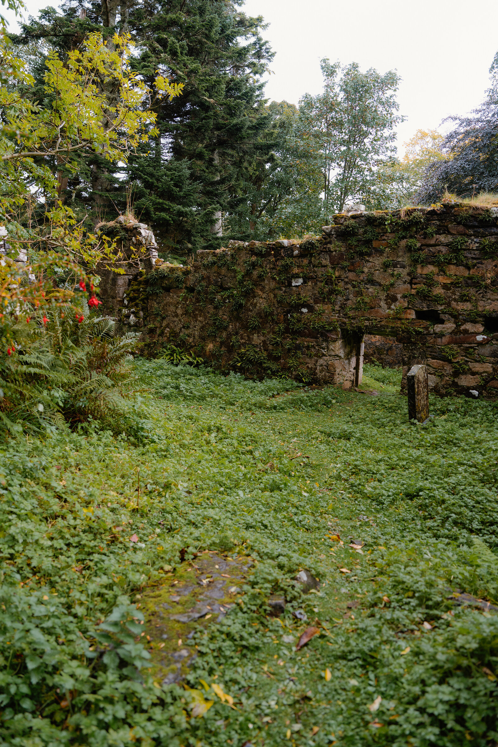 The mossy rubble walls of St Moluag's Chapel enclosing the grassy graveyard, a single gravestone inside.