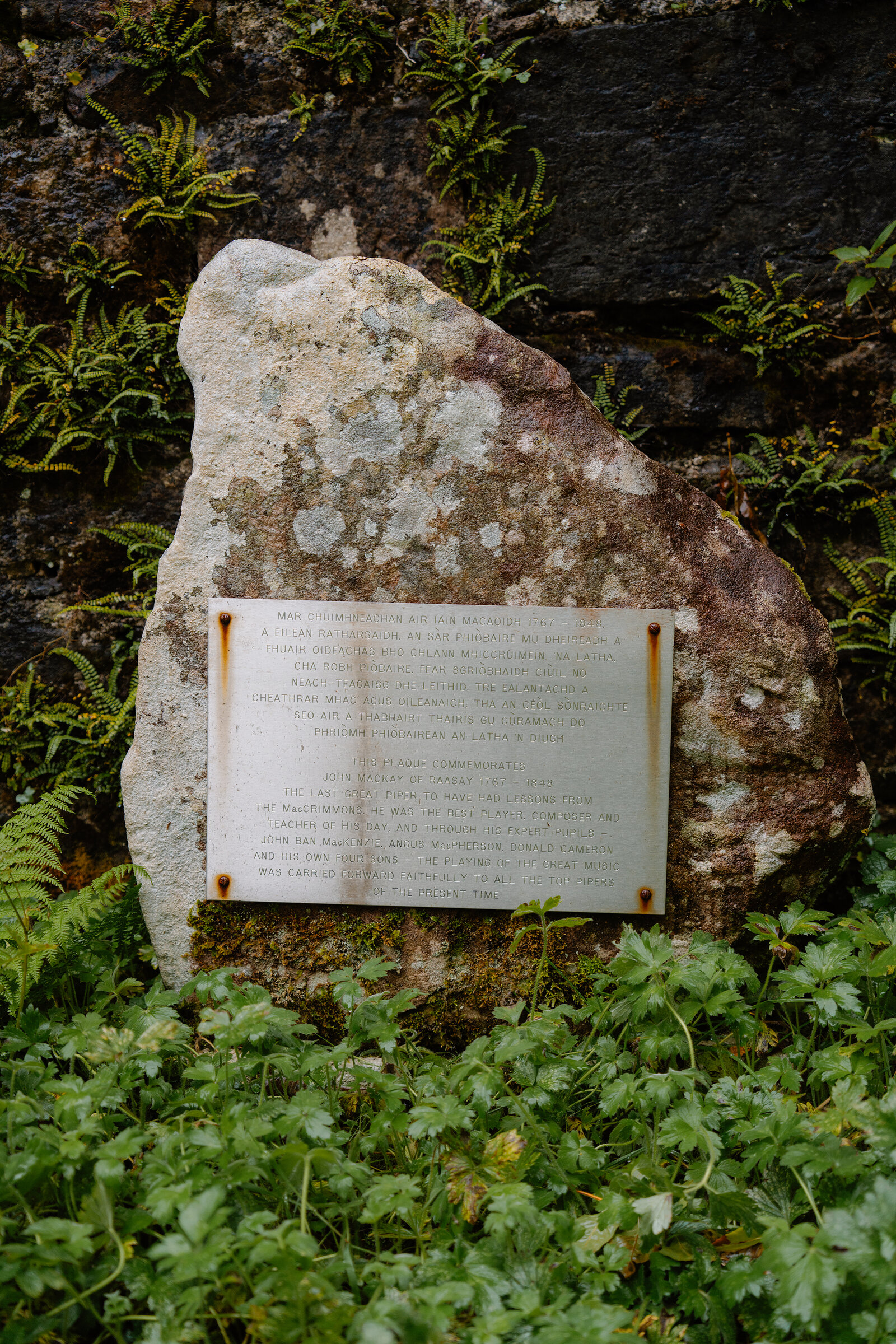 A memorial plaque on a boulder among ferns in the graveyard at St Moluag's, in Gaelic and English.