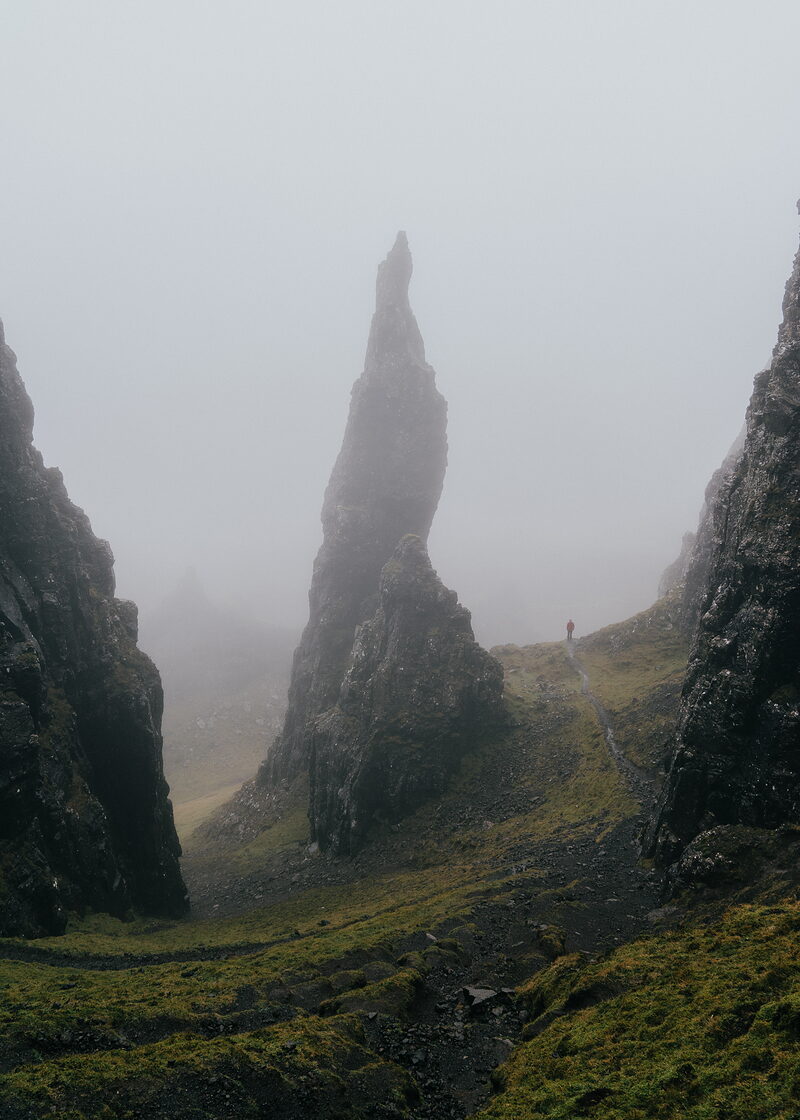 The Needle
