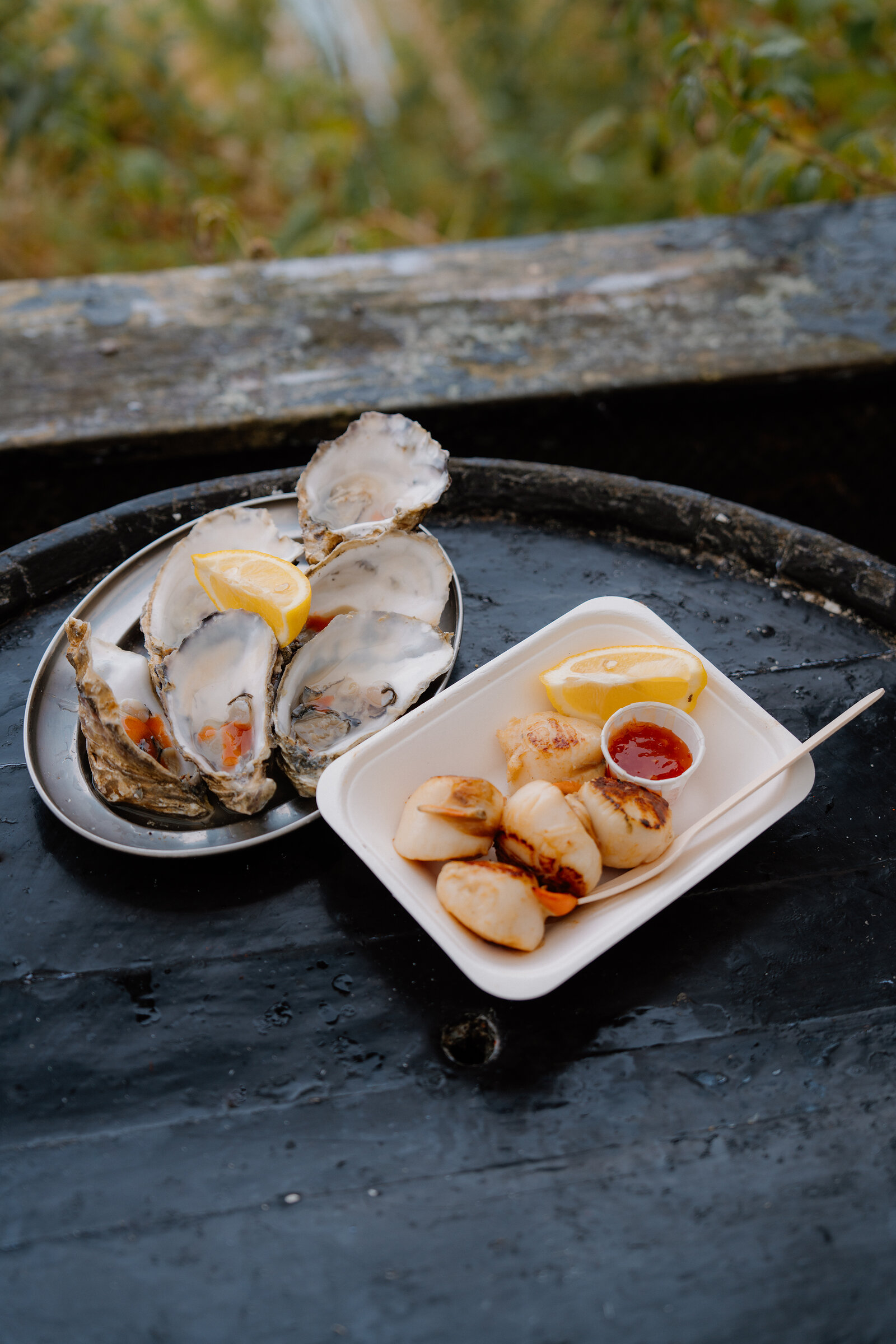 Oysters and lemon wedges sit on a metal plate beside a tray of grilled scallops with sauce and a wooden skewer, on a rain-speckled barrel.