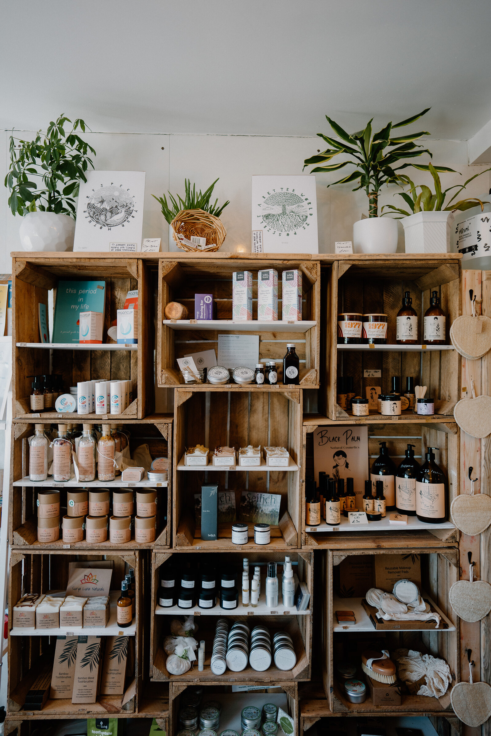 Wooden crate shelving displays skincare products, candles and potted plants against a white wall.
