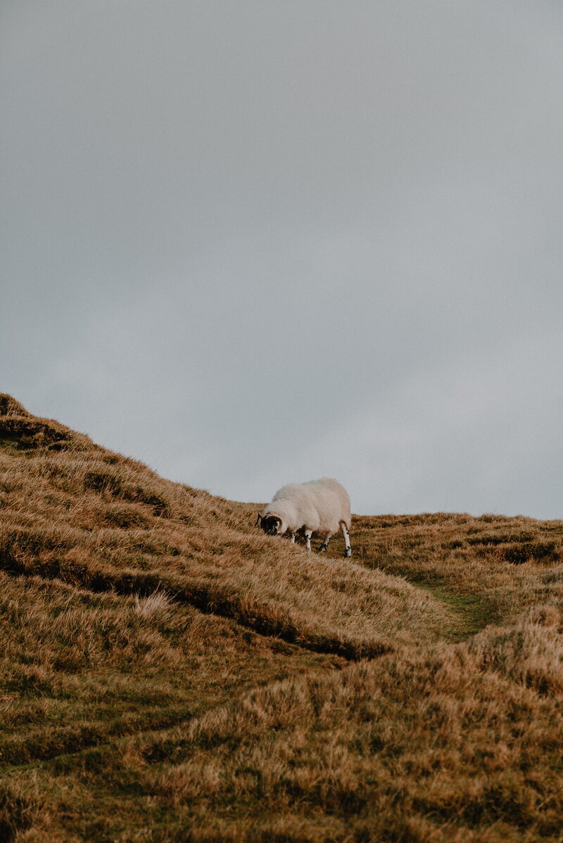 Two days on Skye