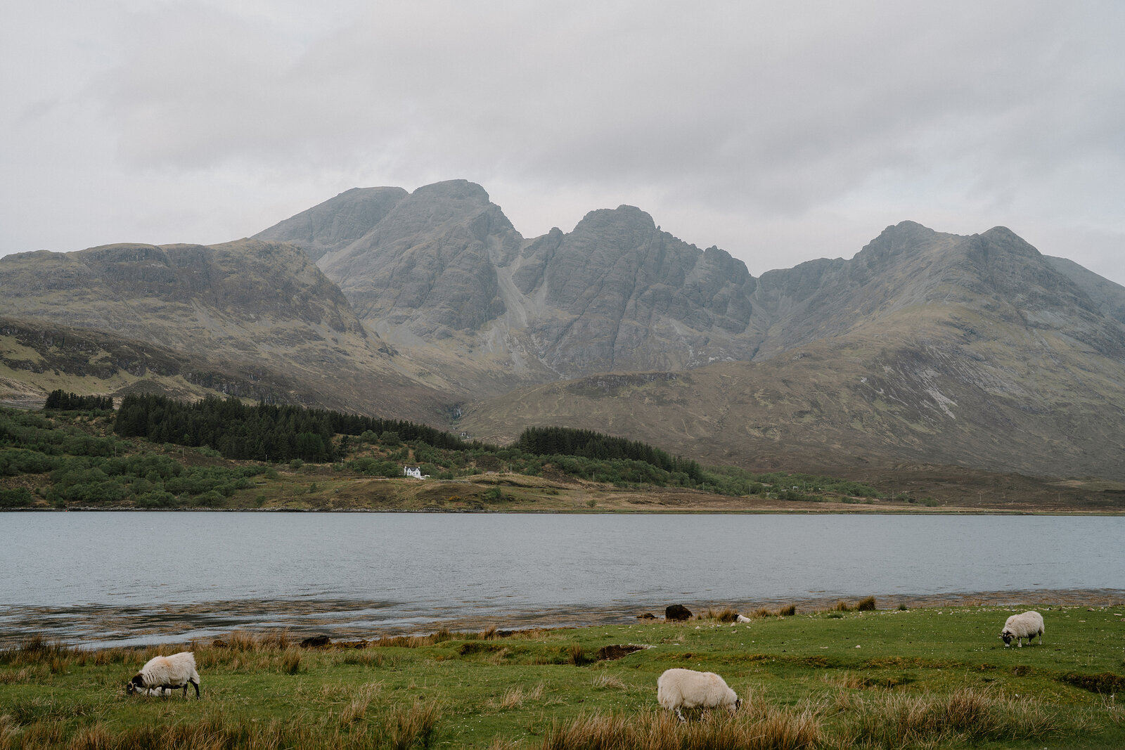 Sheep graze on the grassy loch shore beneath the jagged peaks of the Cuillin.