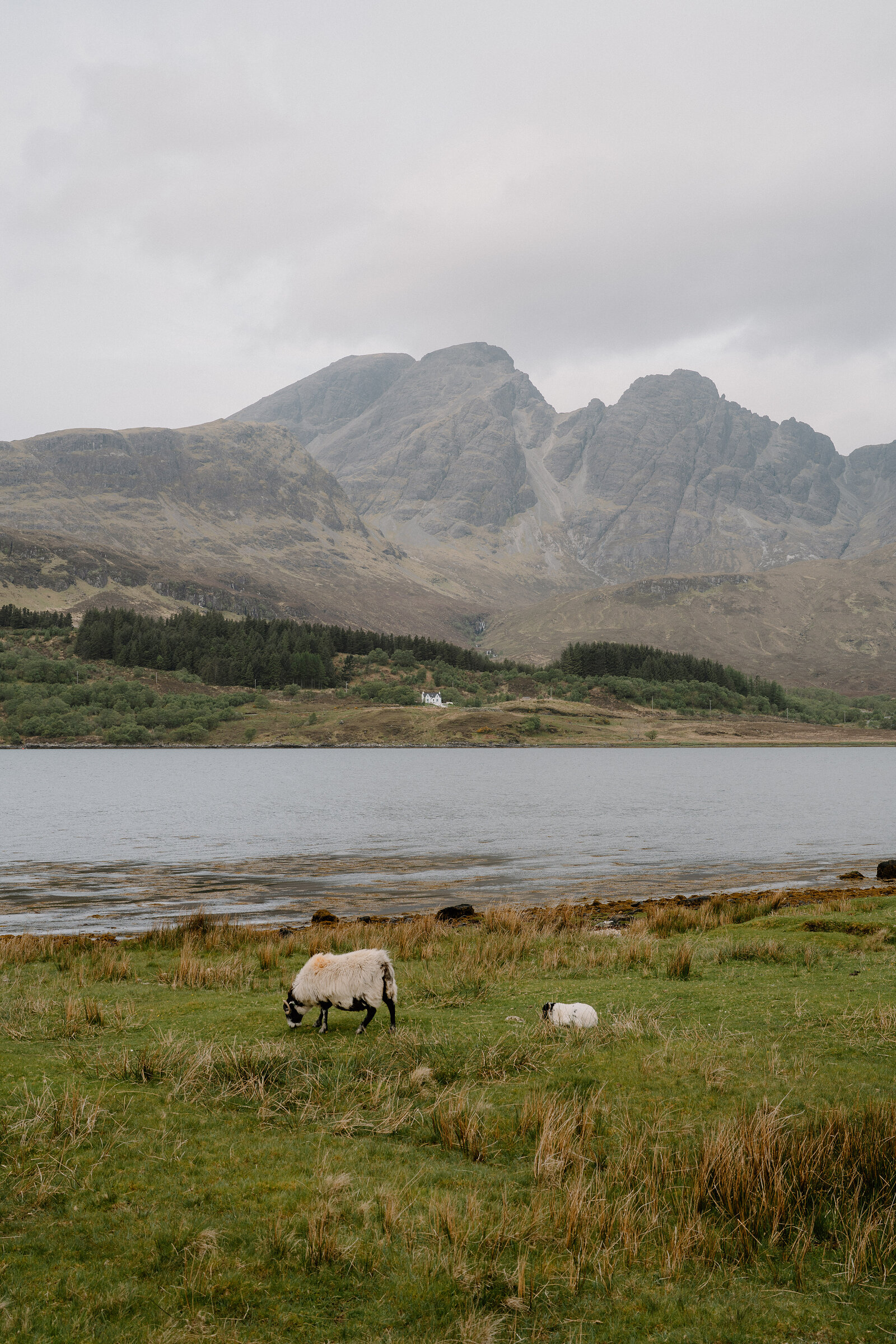 A sheep and lamb graze by a loch beneath the misty Cuillin ridge, a white house visible on the far shore.