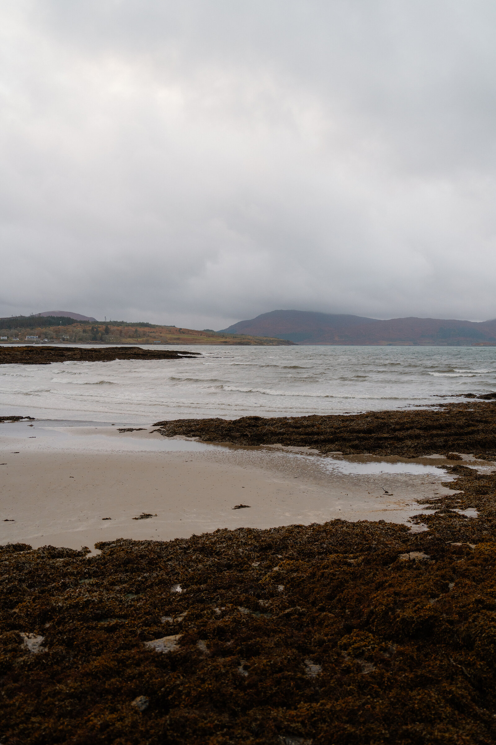 Waves roll onto a sandy beach edged with seaweed-covered rocks, hills fading into mist across the water.